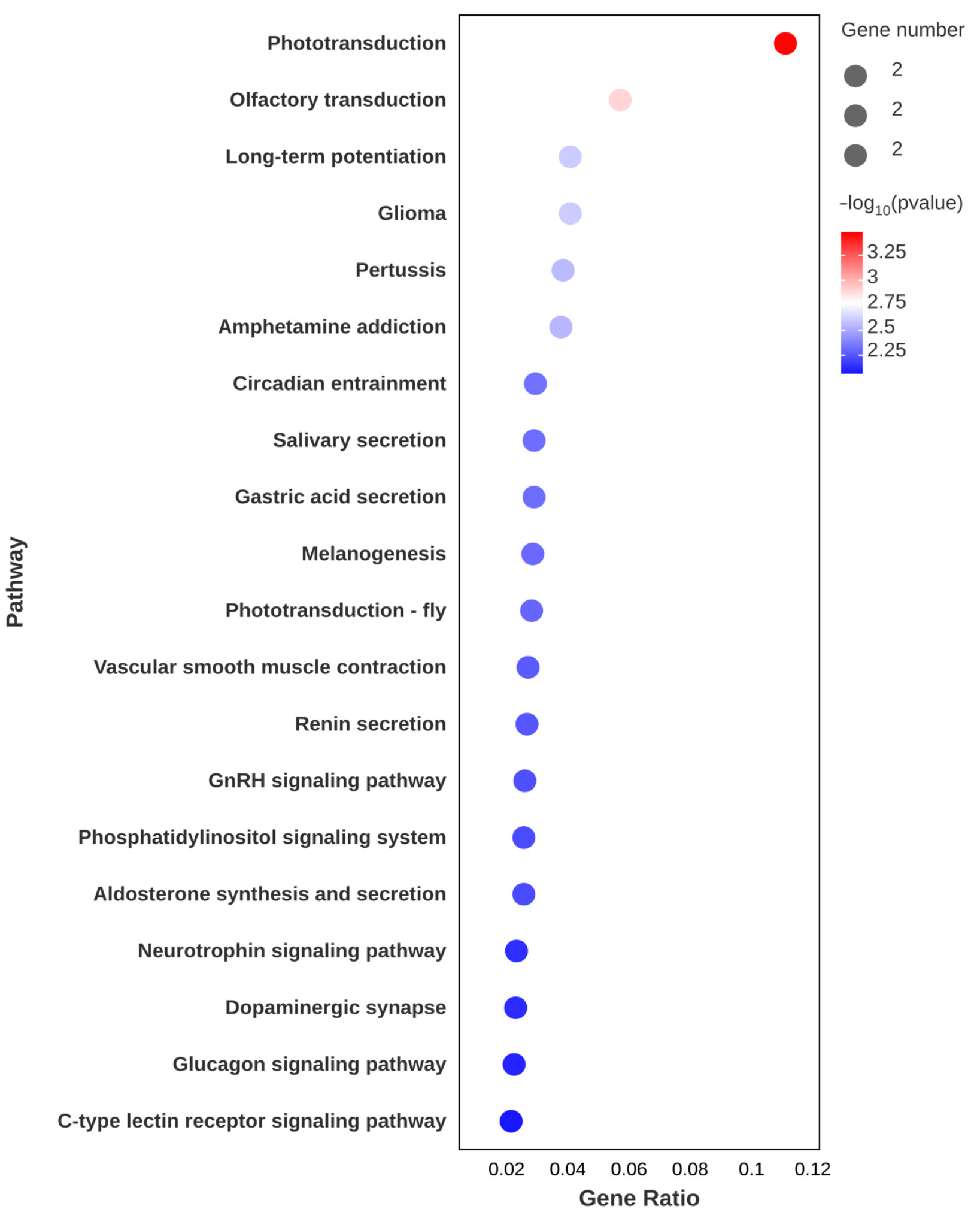 Animals 15 01314 g005