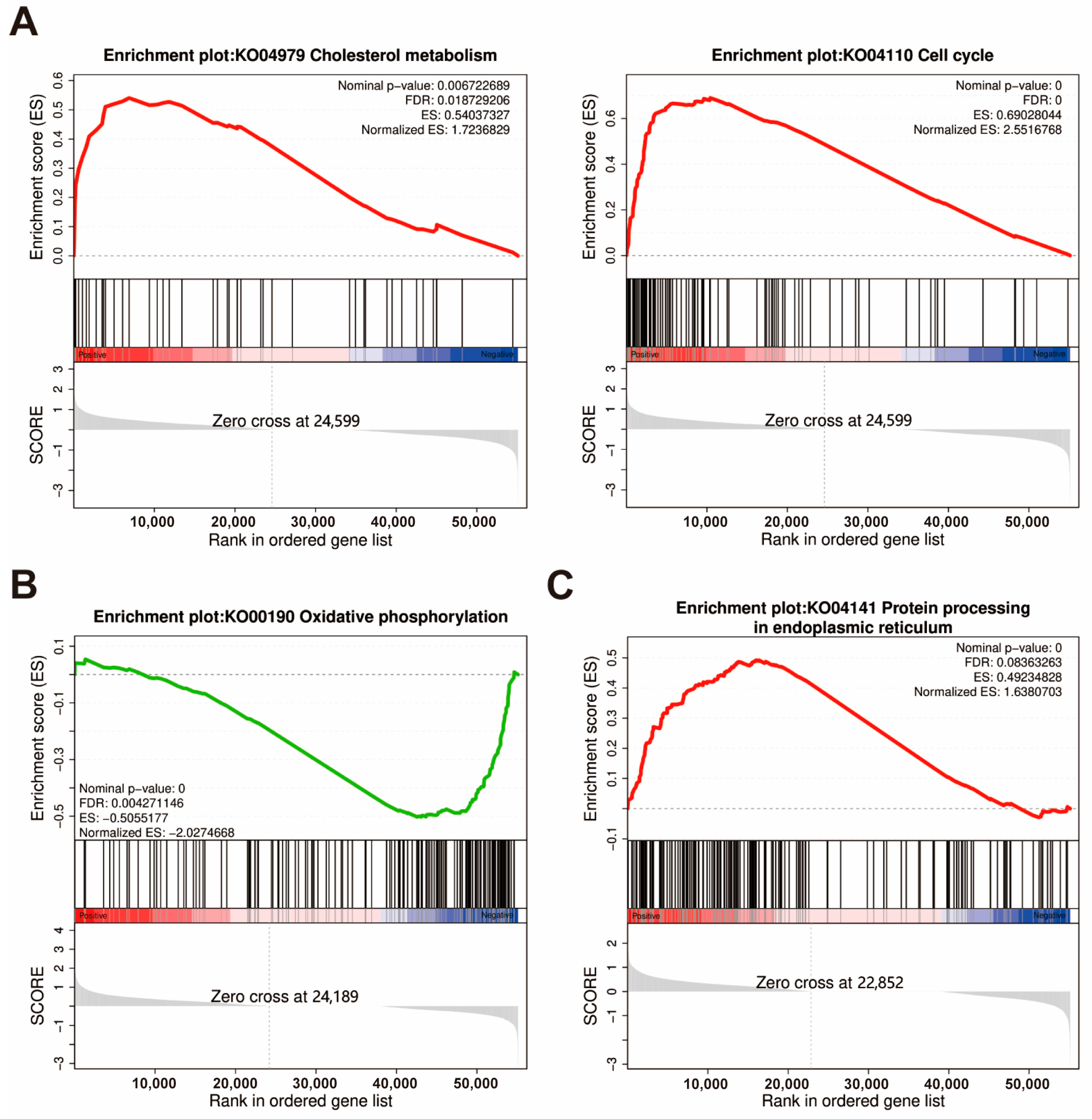 Animals 15 01314 g006