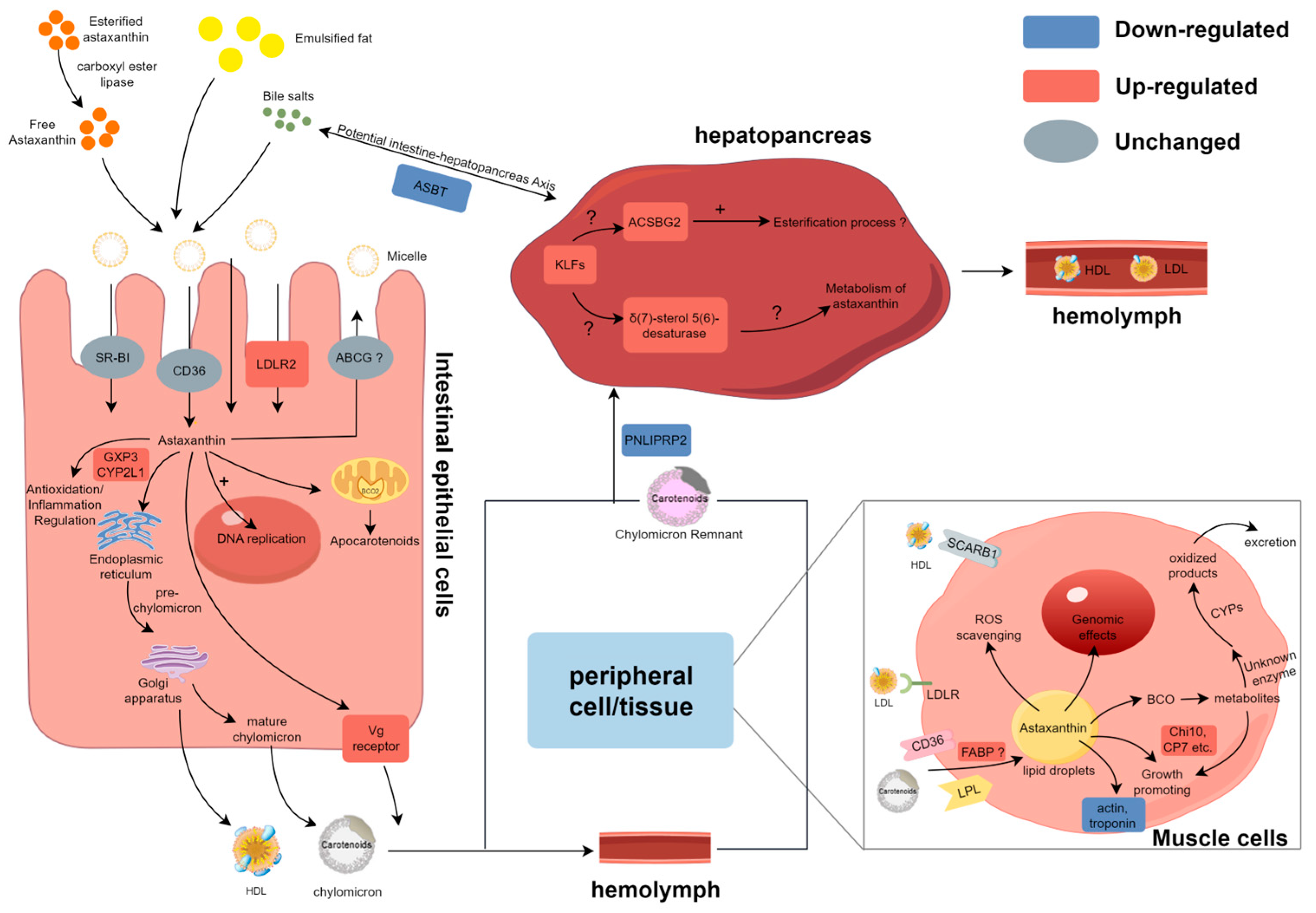 Animals 15 01314 g007