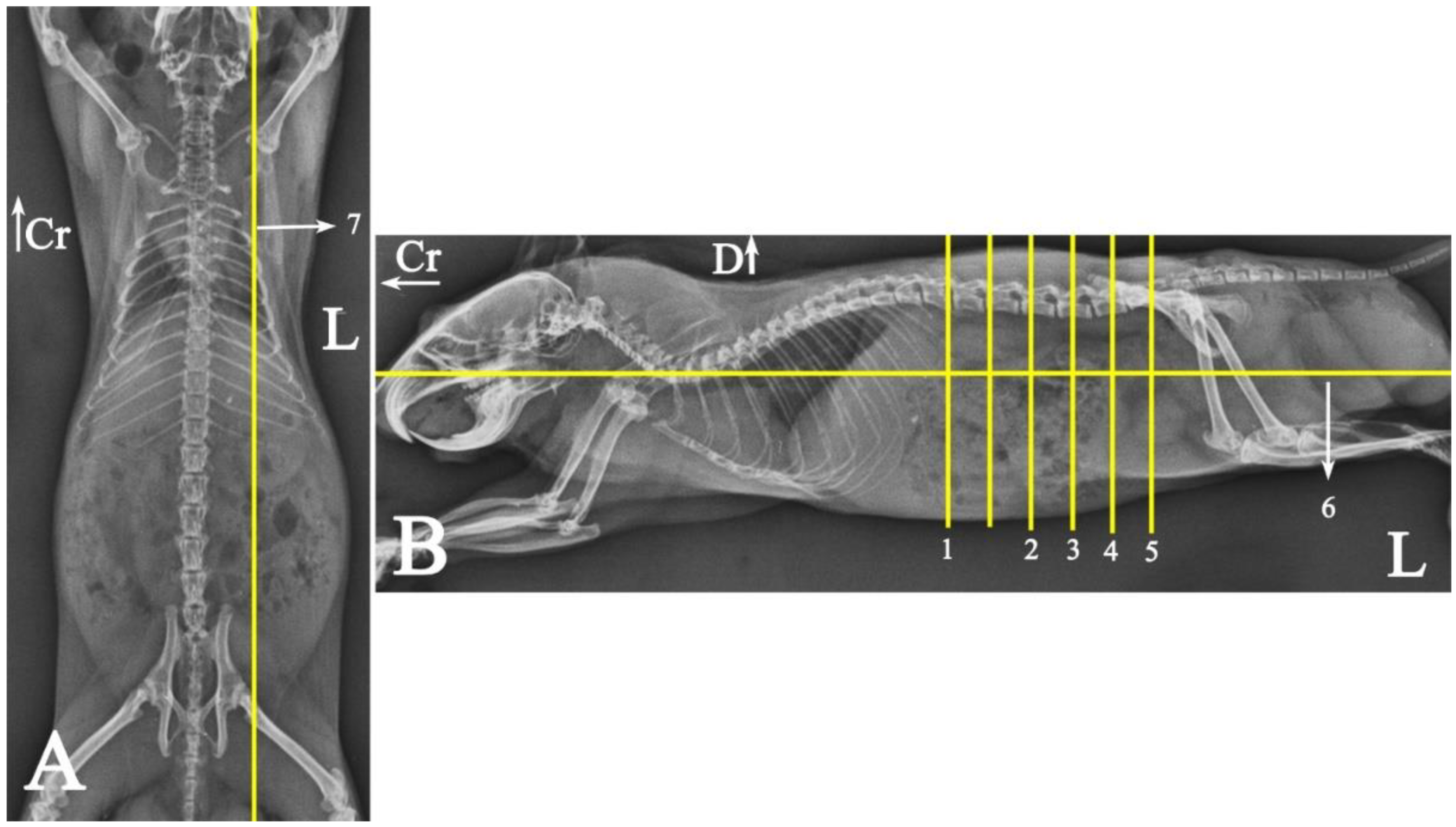 Animals 15 01315 g001 Animals 15 01315 g001