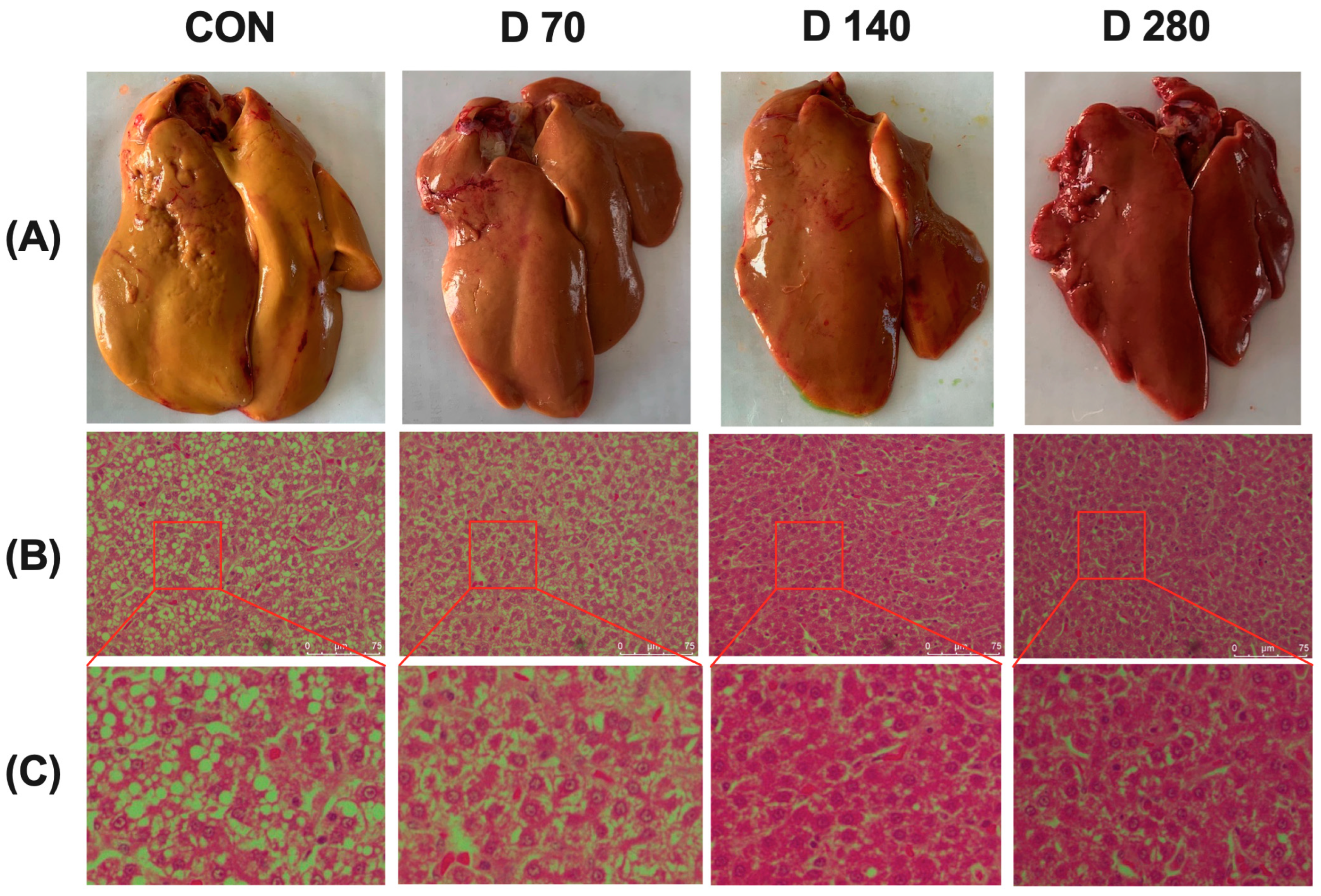 Animals 15 01317 g001