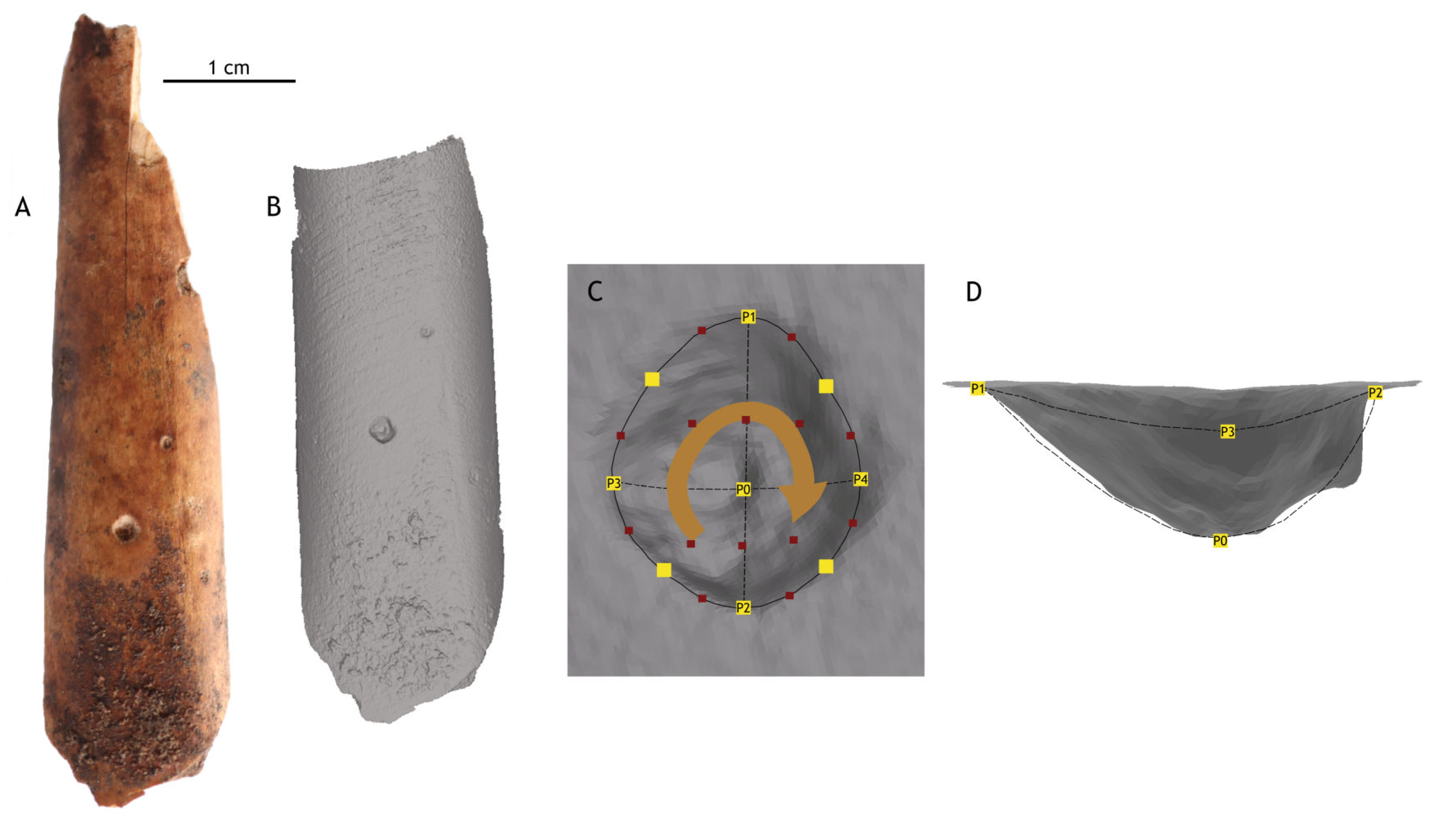 Animals 15 01319 g003