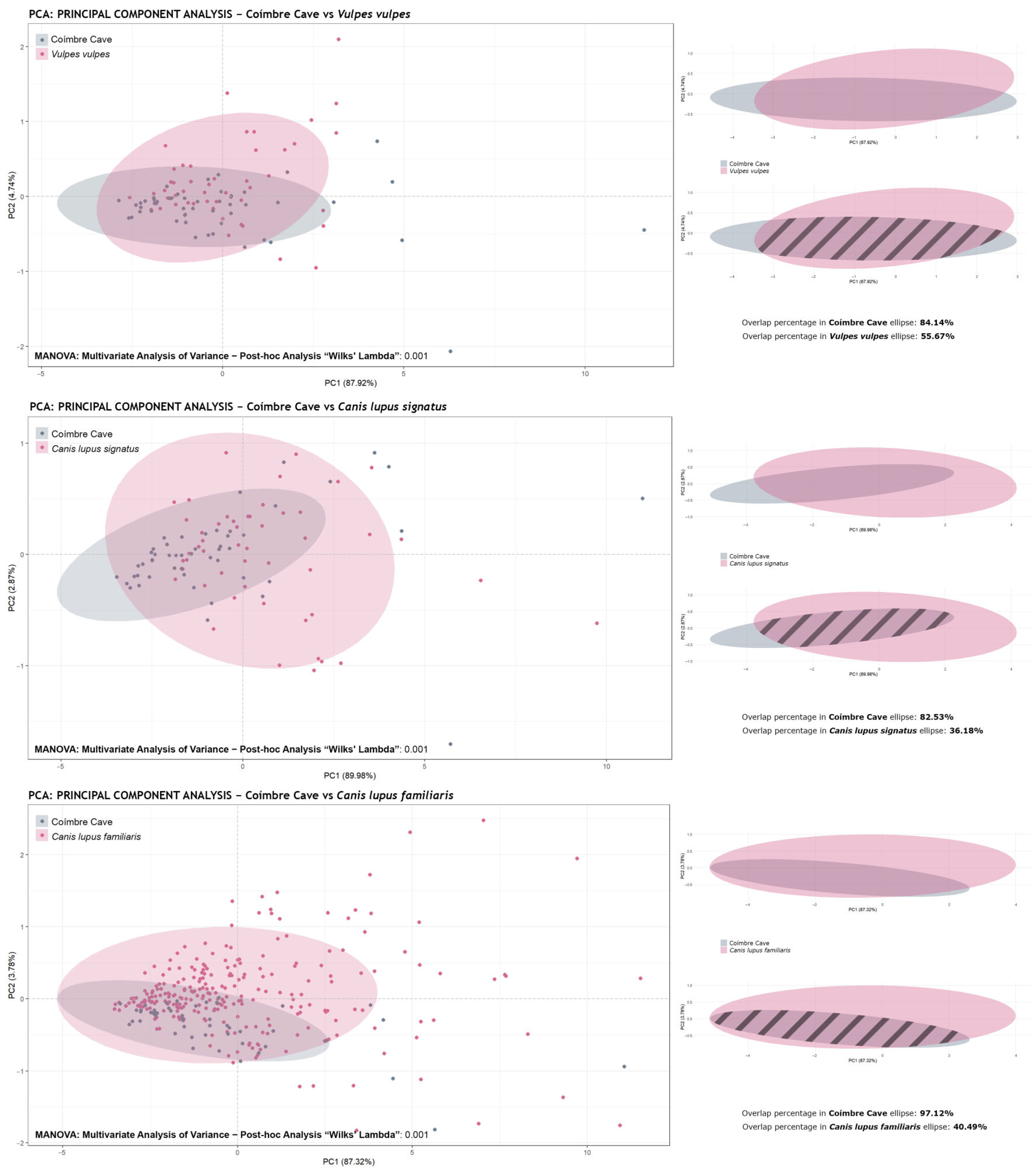 Animals 15 01319 g006