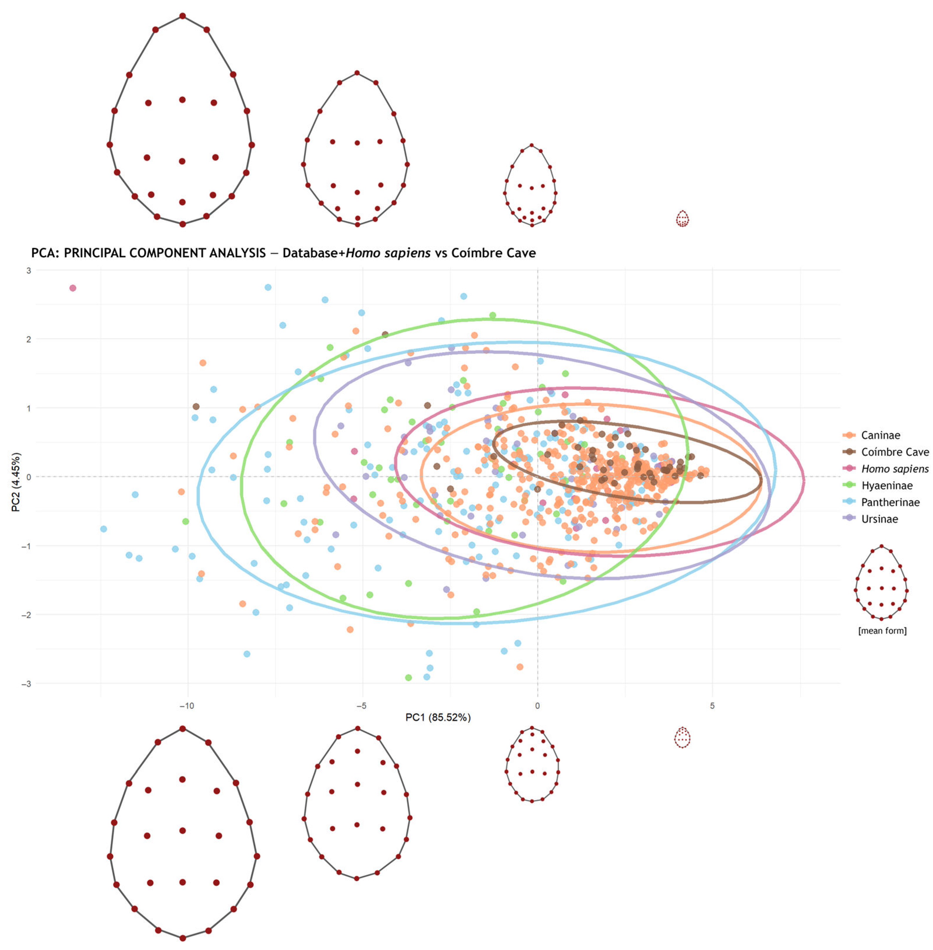 Animals 15 01319 g008