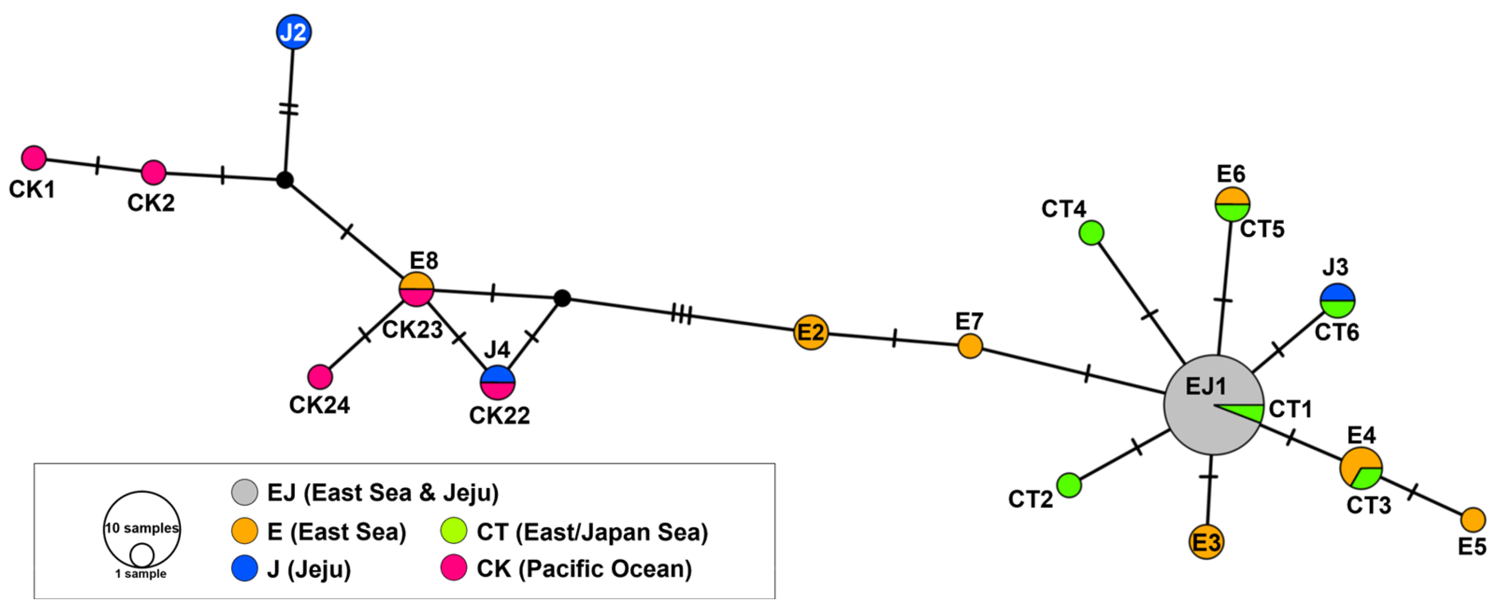 Animals 15 01321 g004