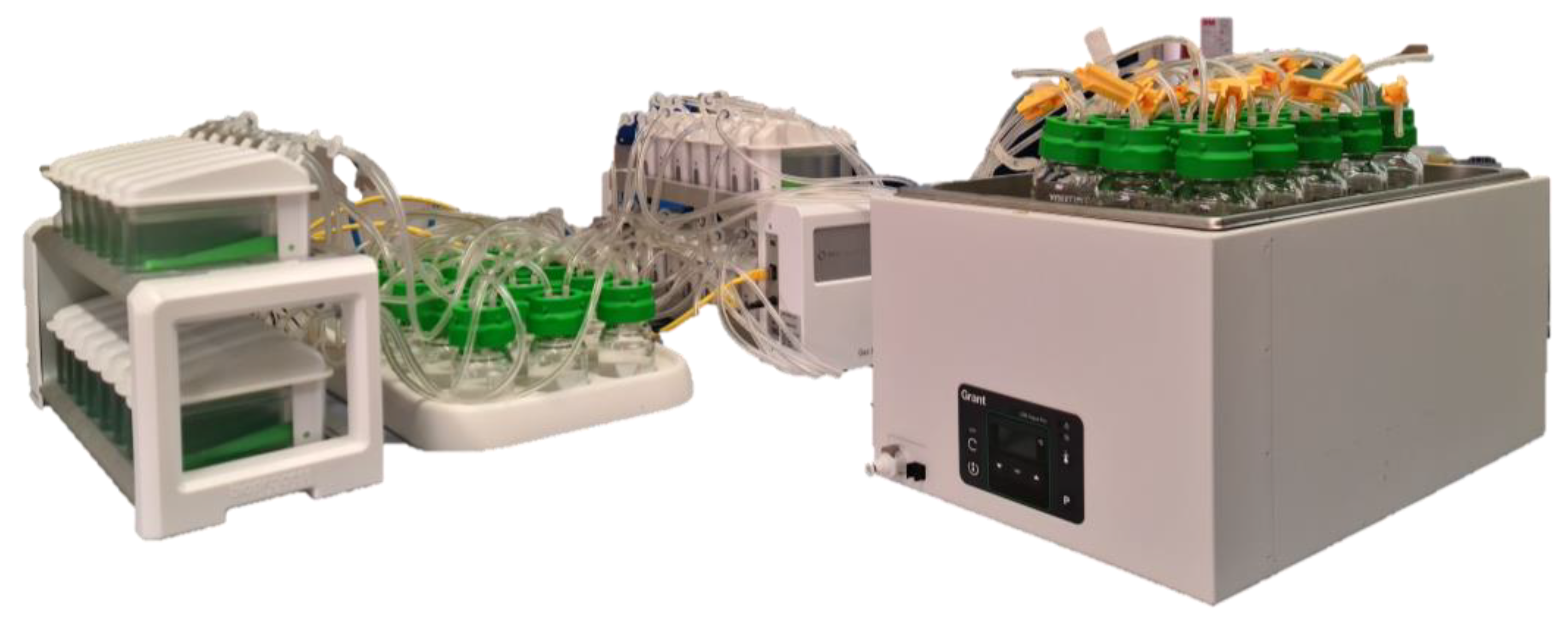 Animals 15 01331 g001