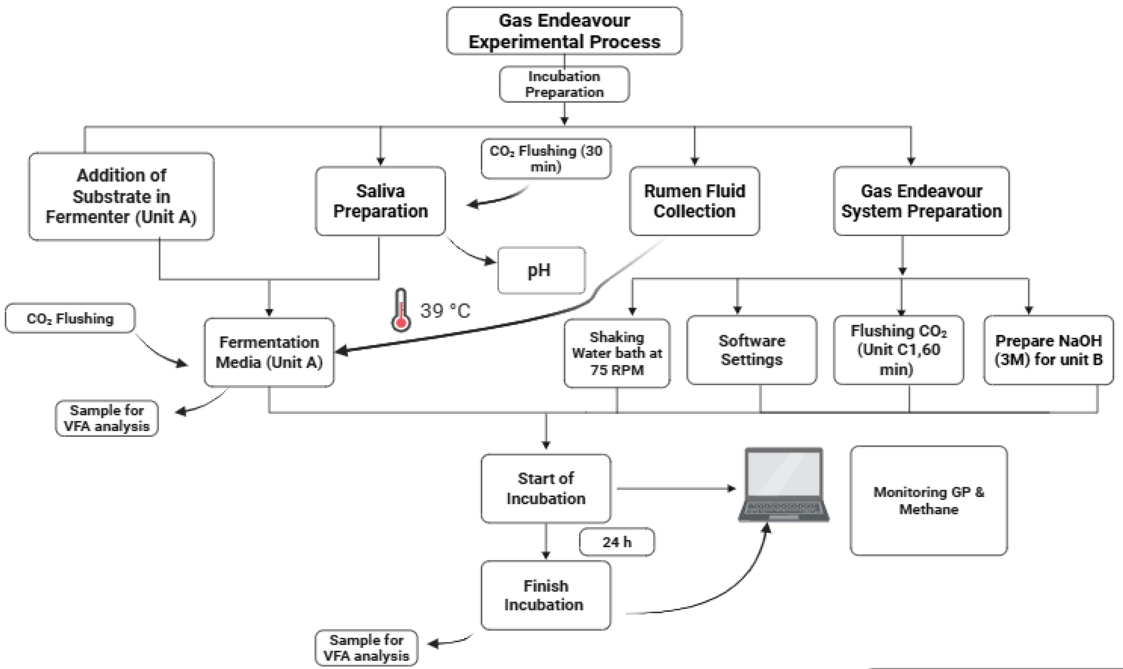 Animals 15 01331 g004
