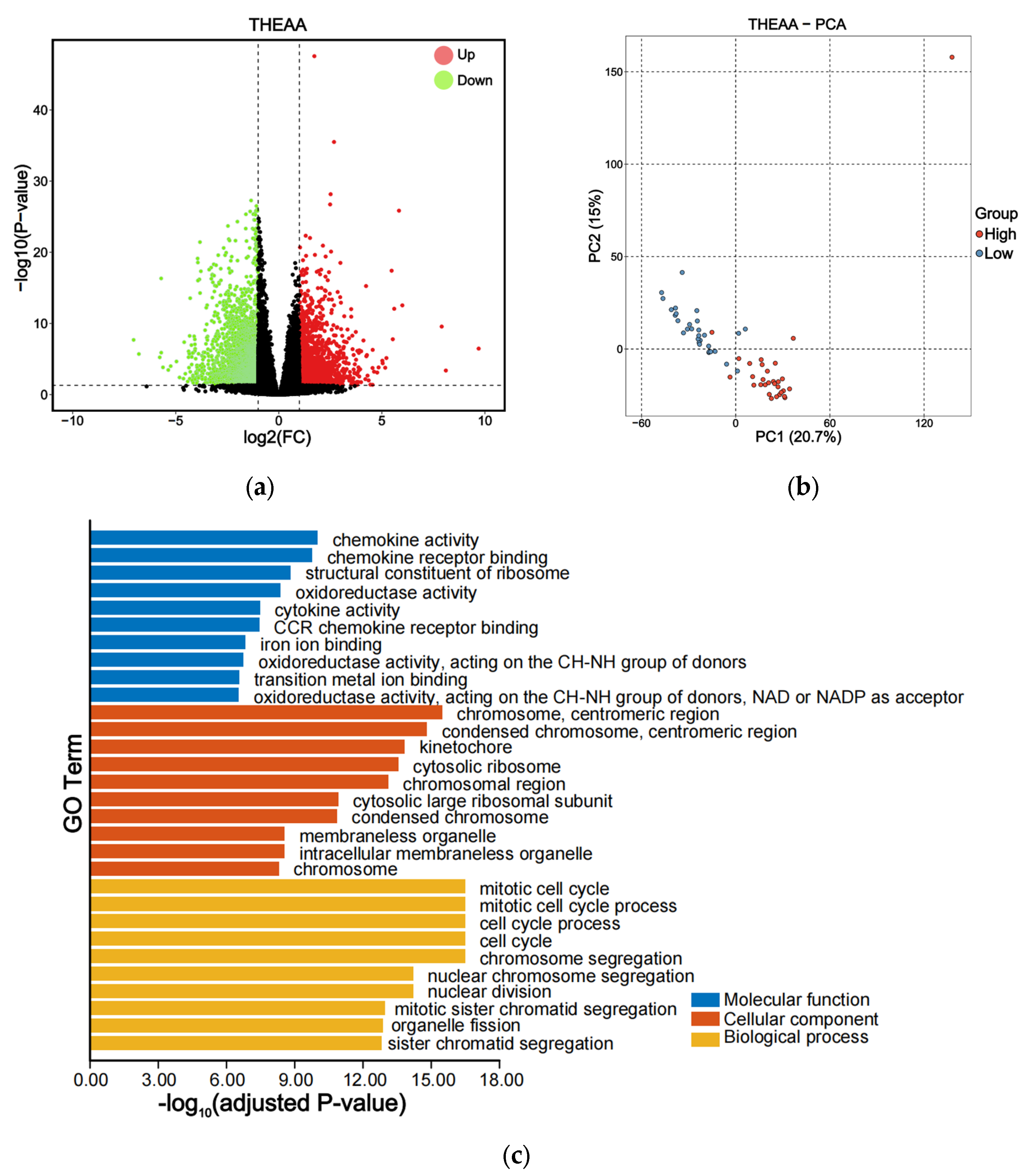 Animals 15 01335 g004