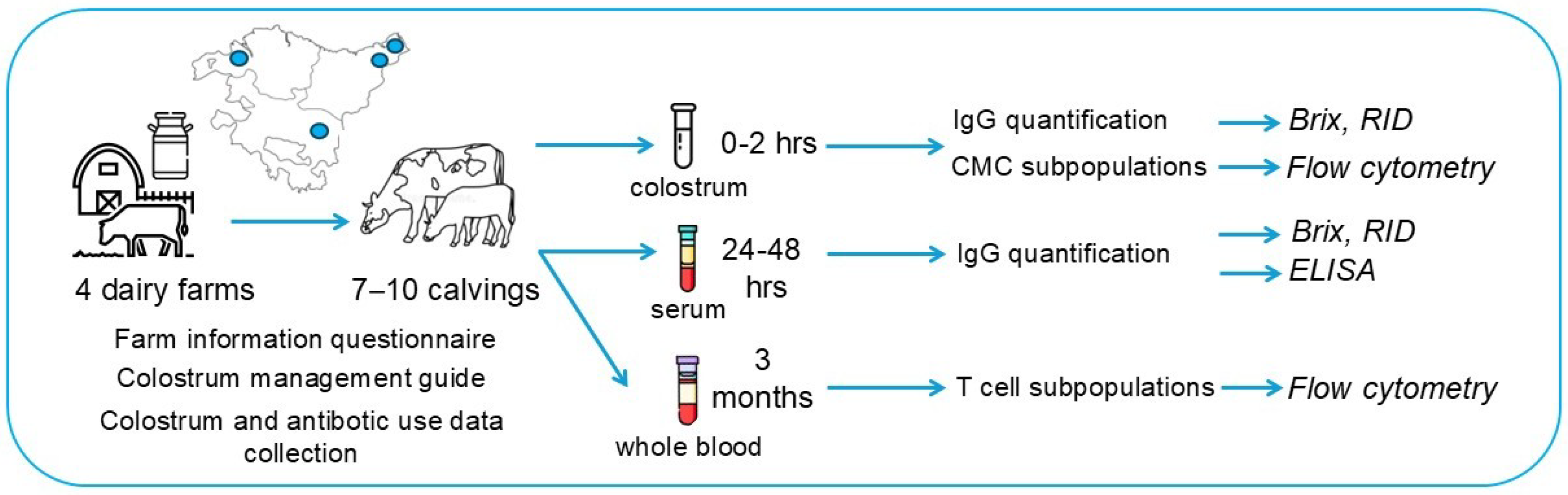 Animals 15 01336 g001