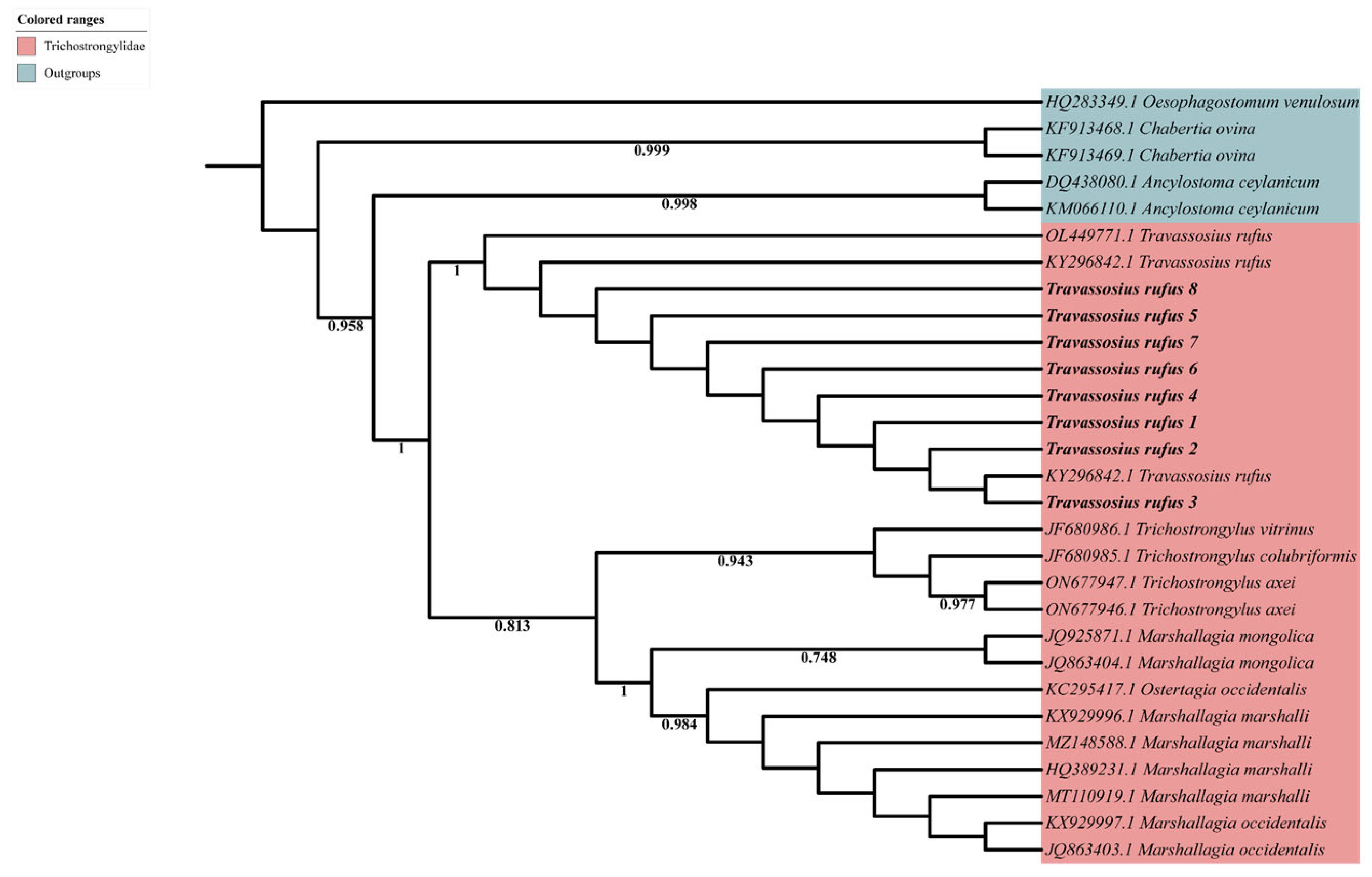 Animals 15 01339 g003