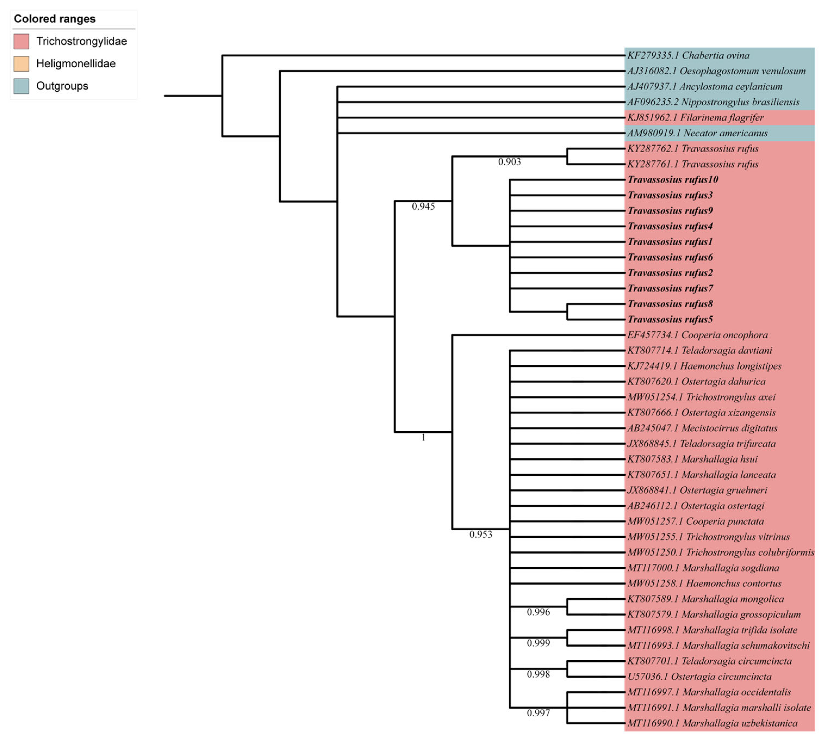 Animals 15 01339 g004