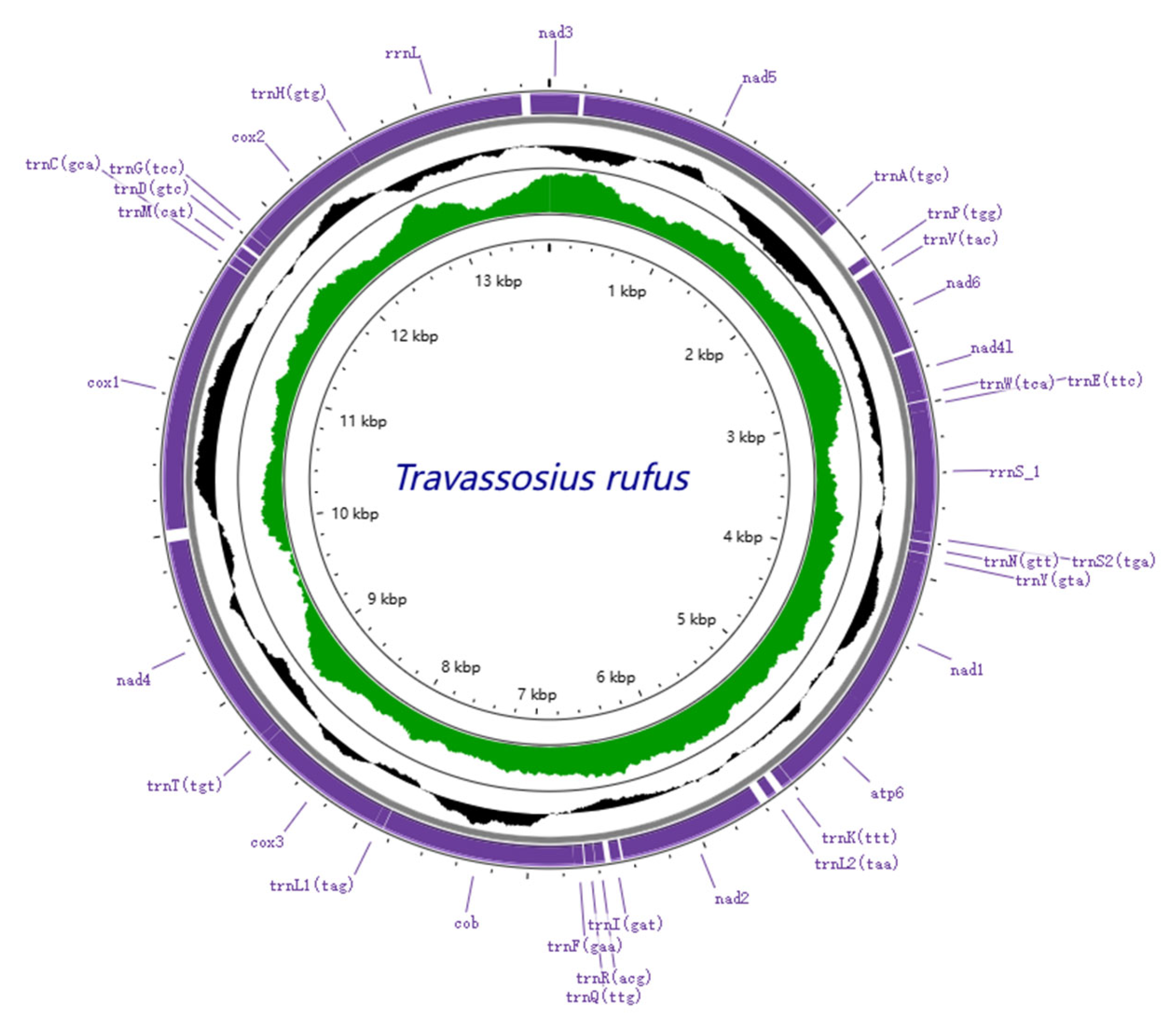 Animals 15 01339 g005