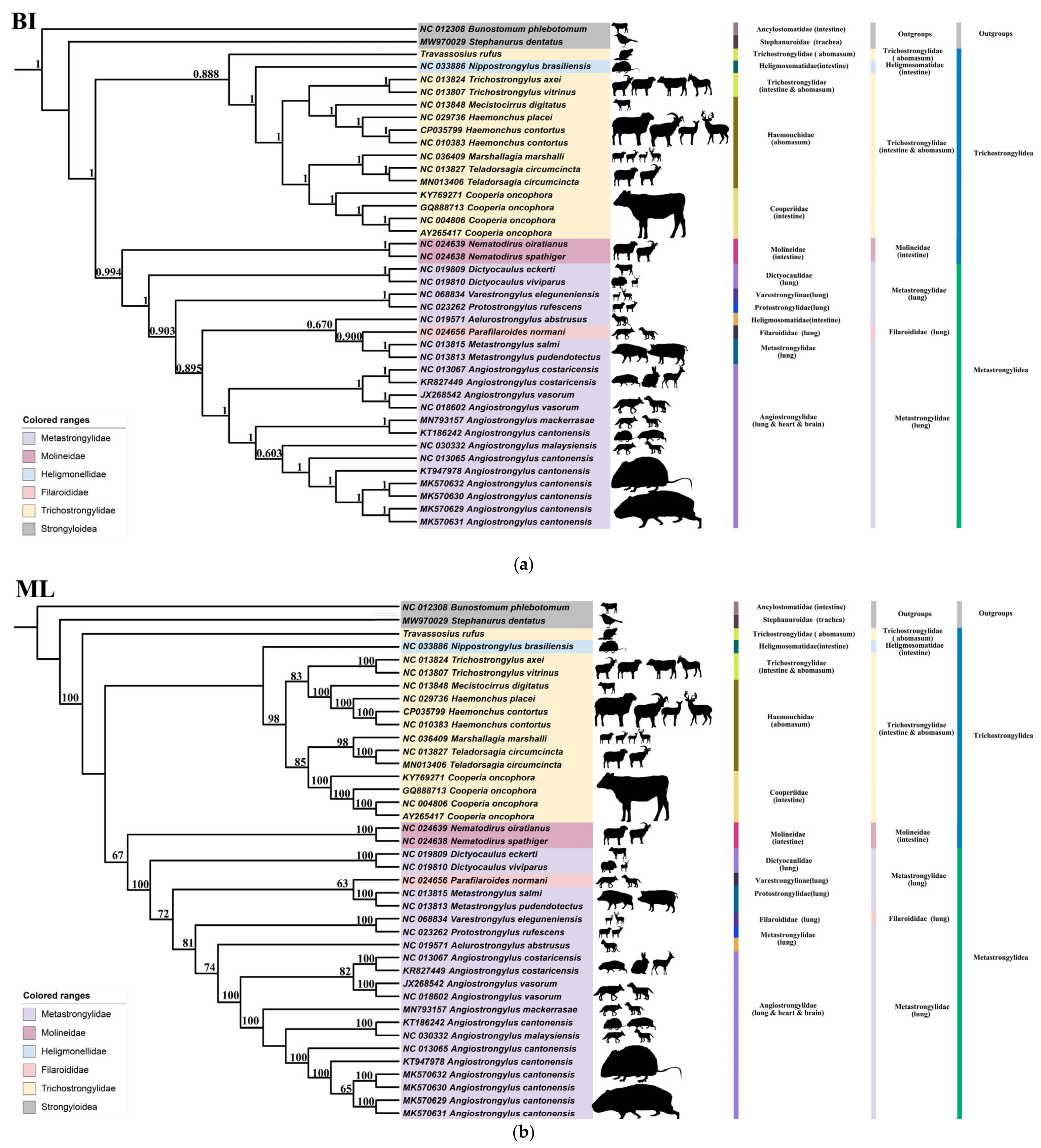 Animals 15 01339 g008