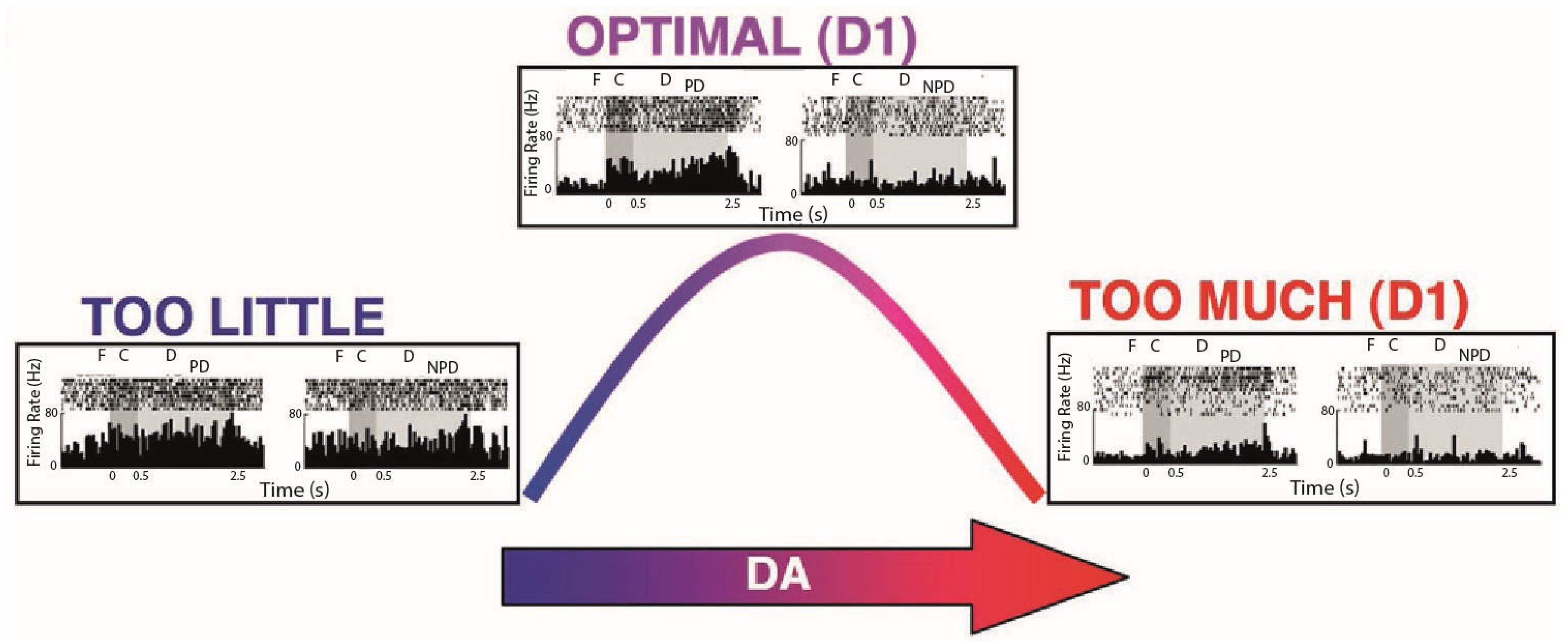 Animals 15 01340 g001