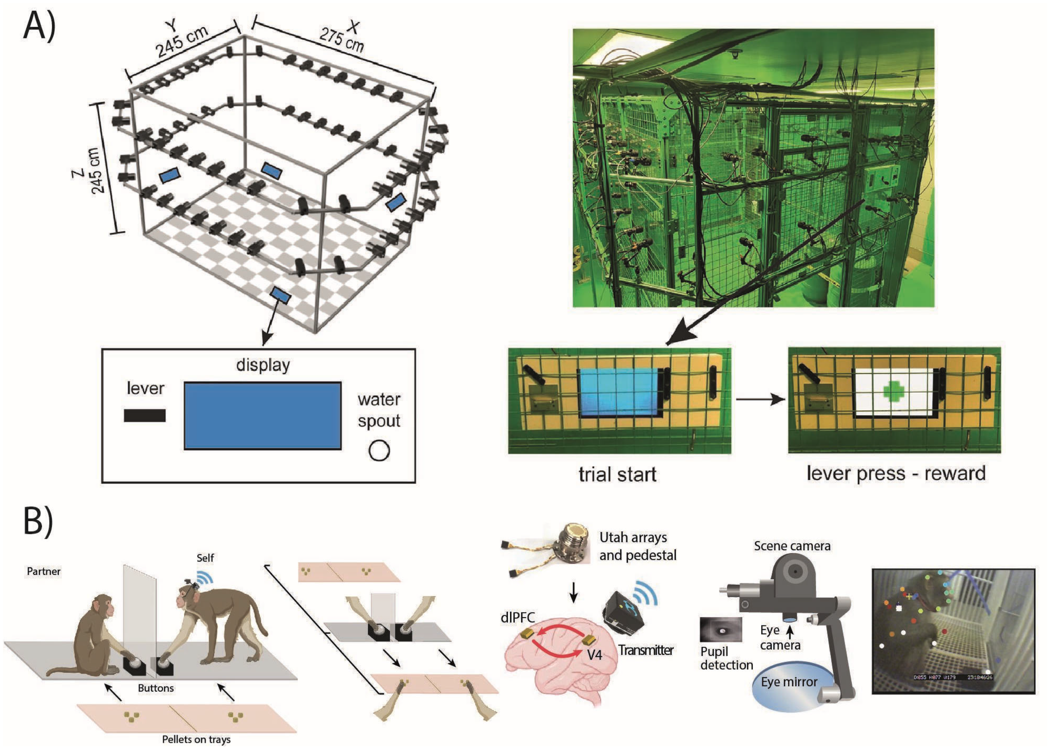 Animals 15 01340 g003