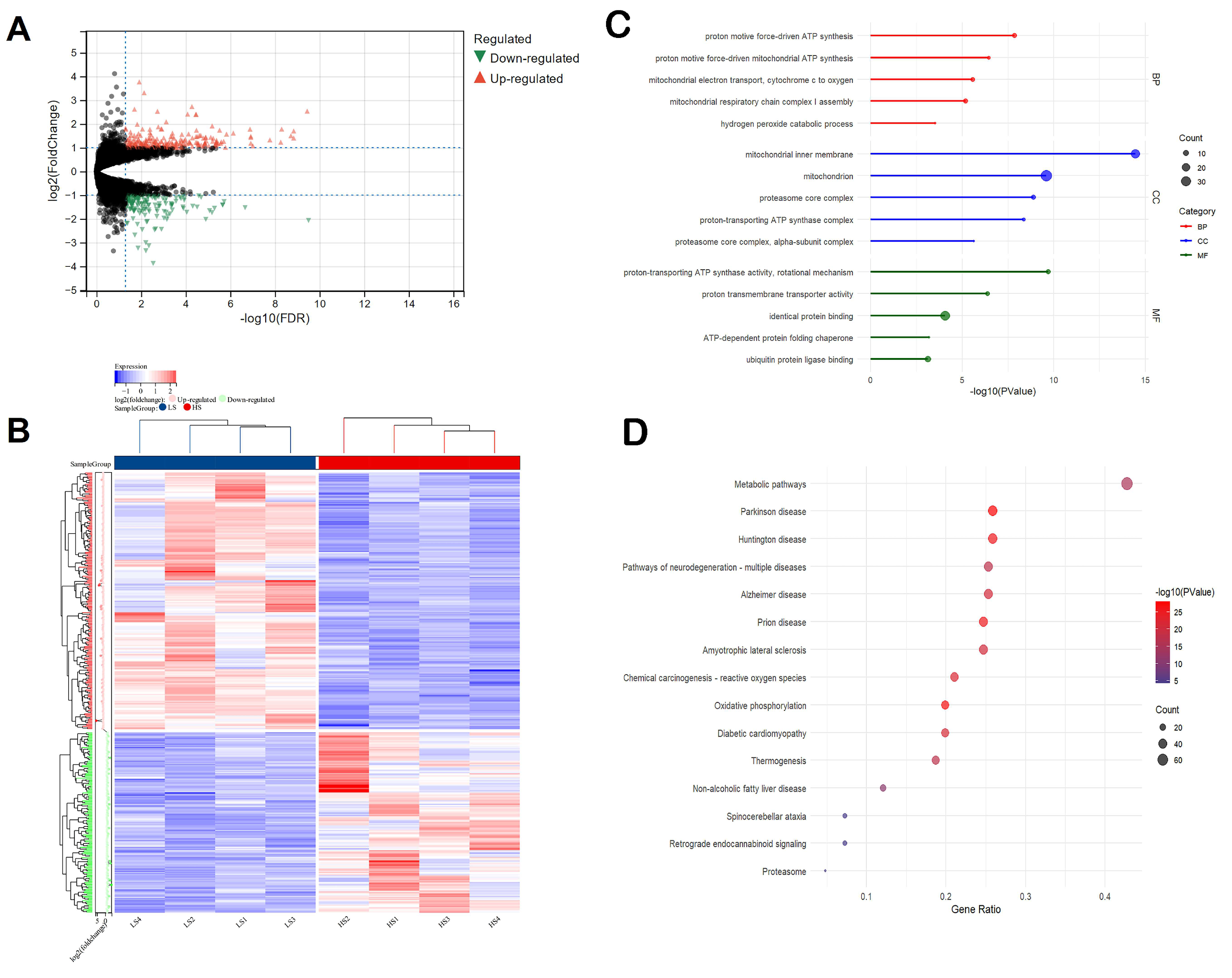 Animals 15 01345 g001
