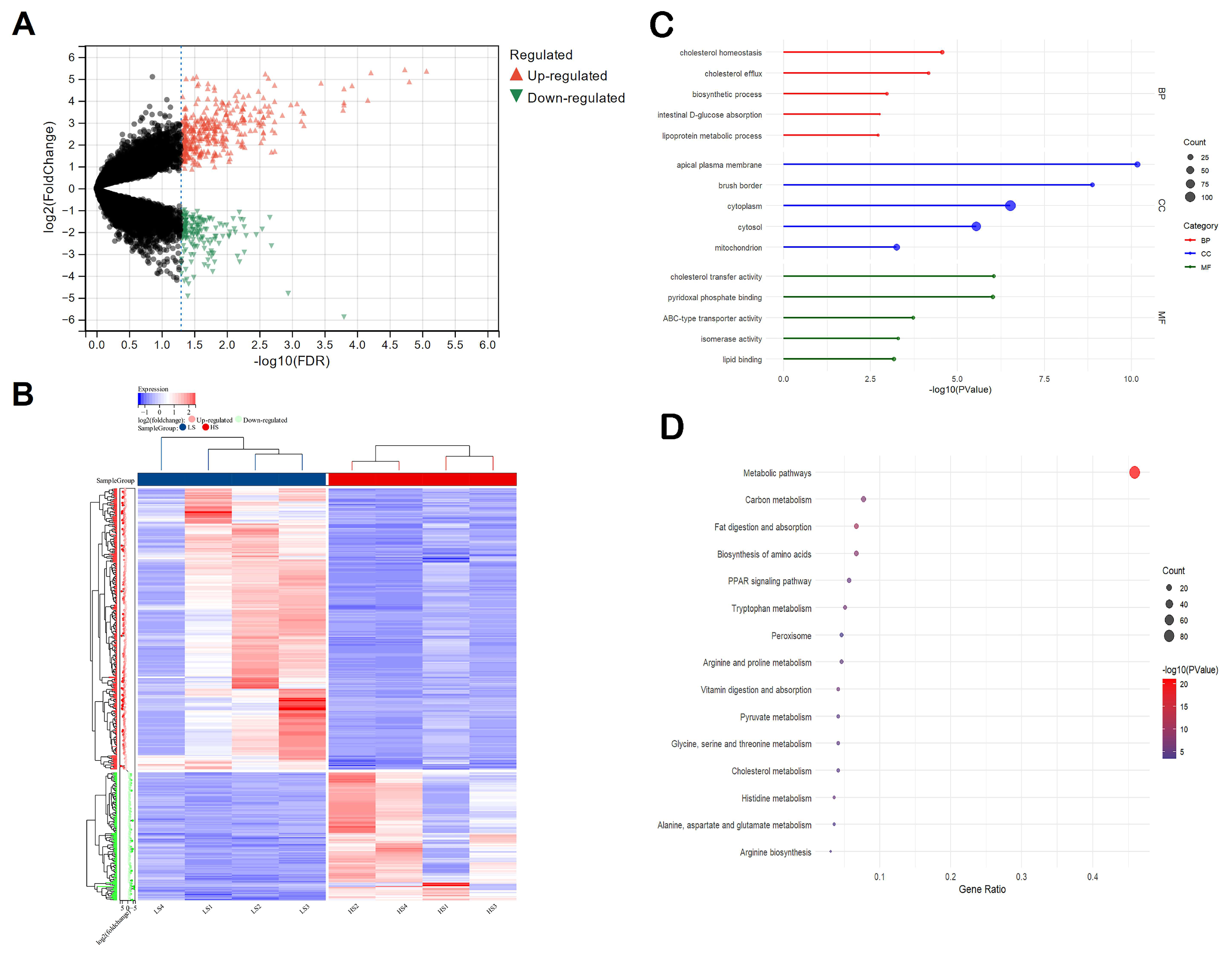 Animals 15 01345 g002