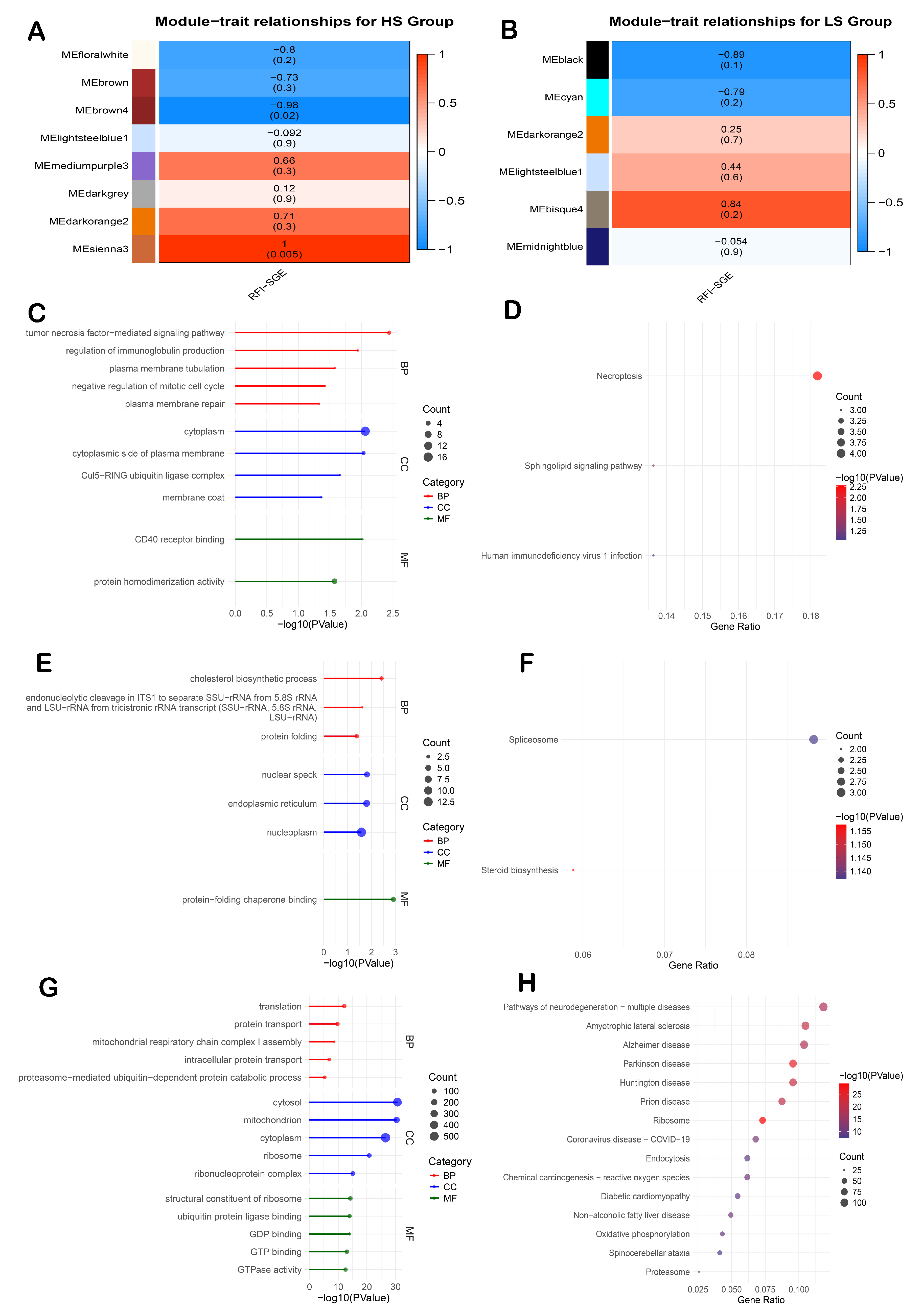 Animals 15 01345 g003