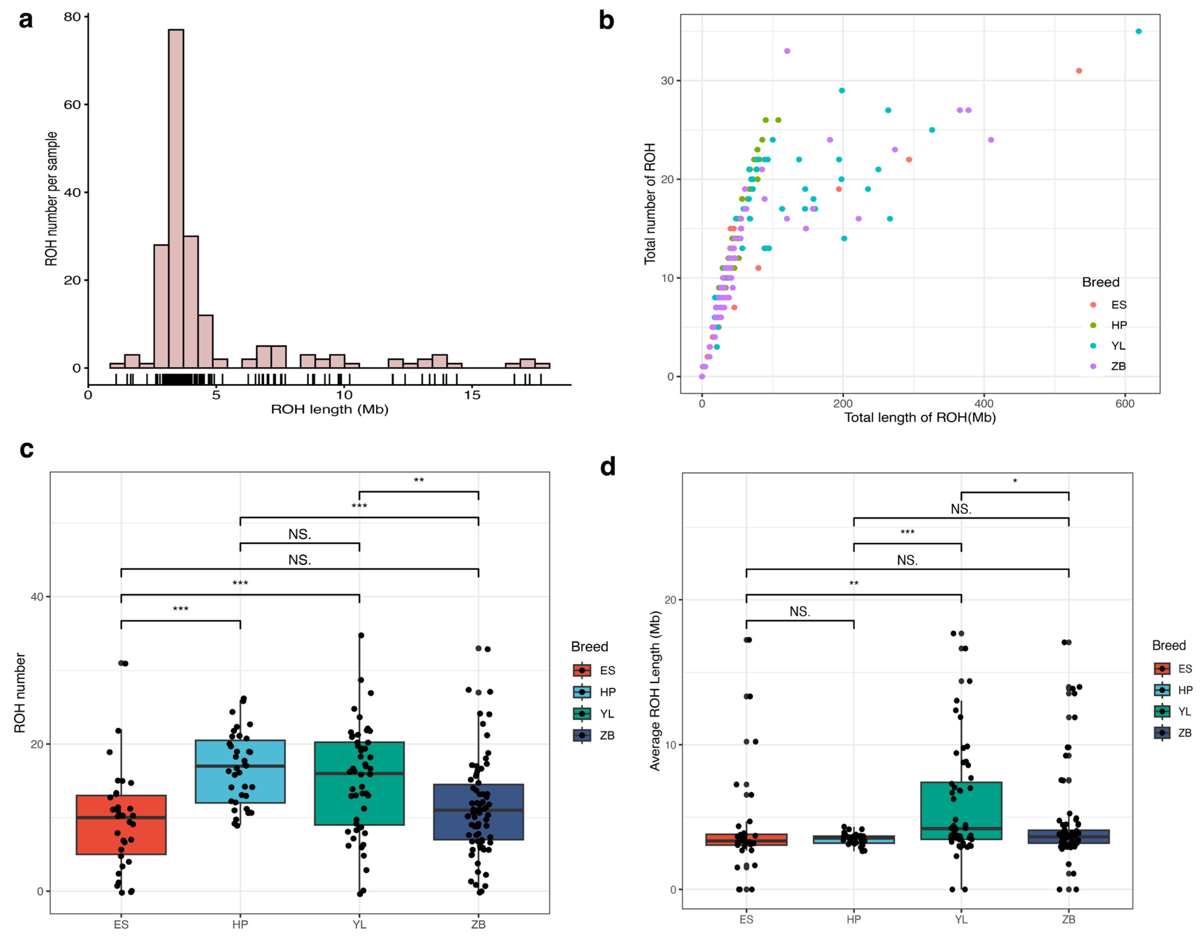 Animals 15 01346 g004