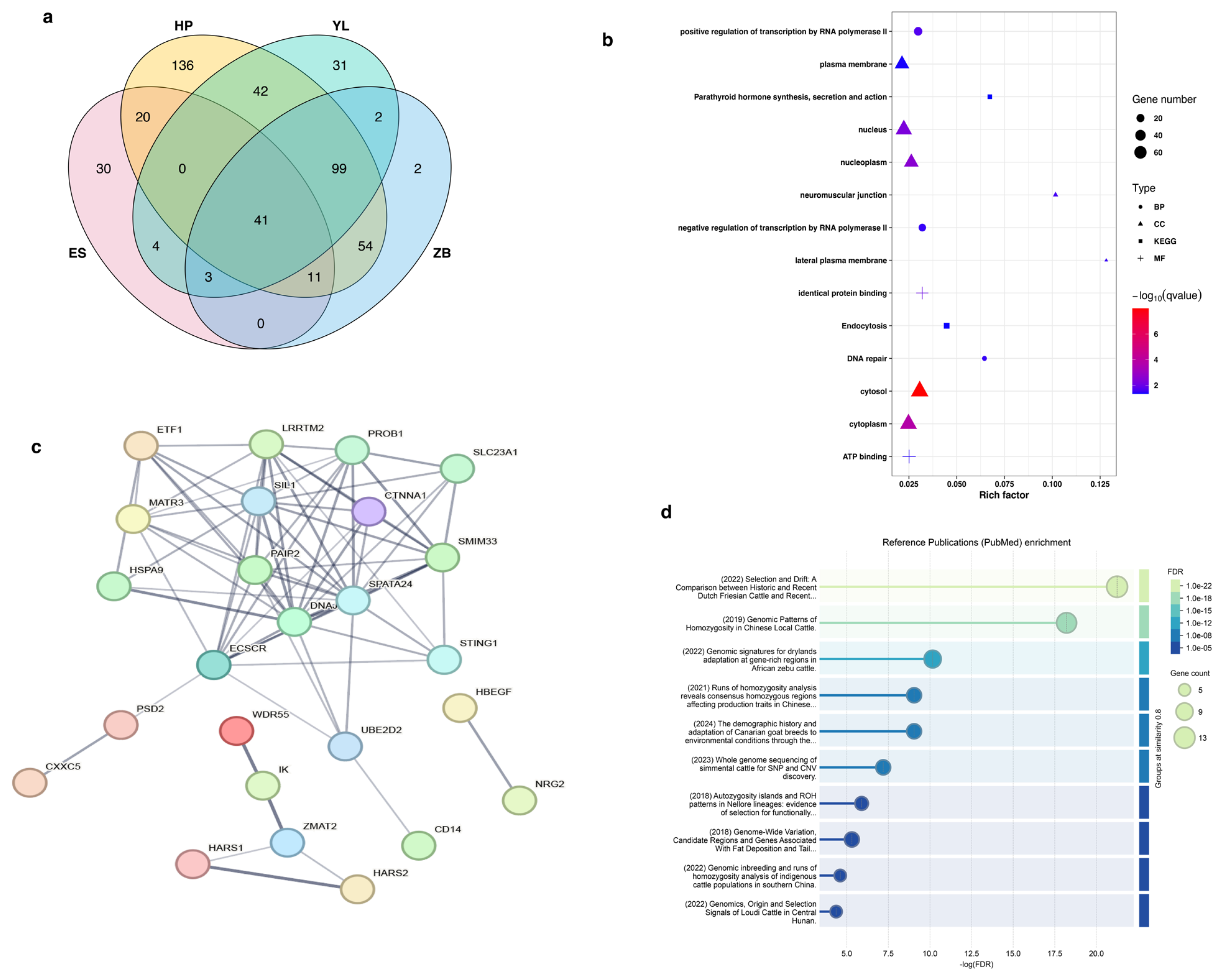 Animals 15 01346 g007