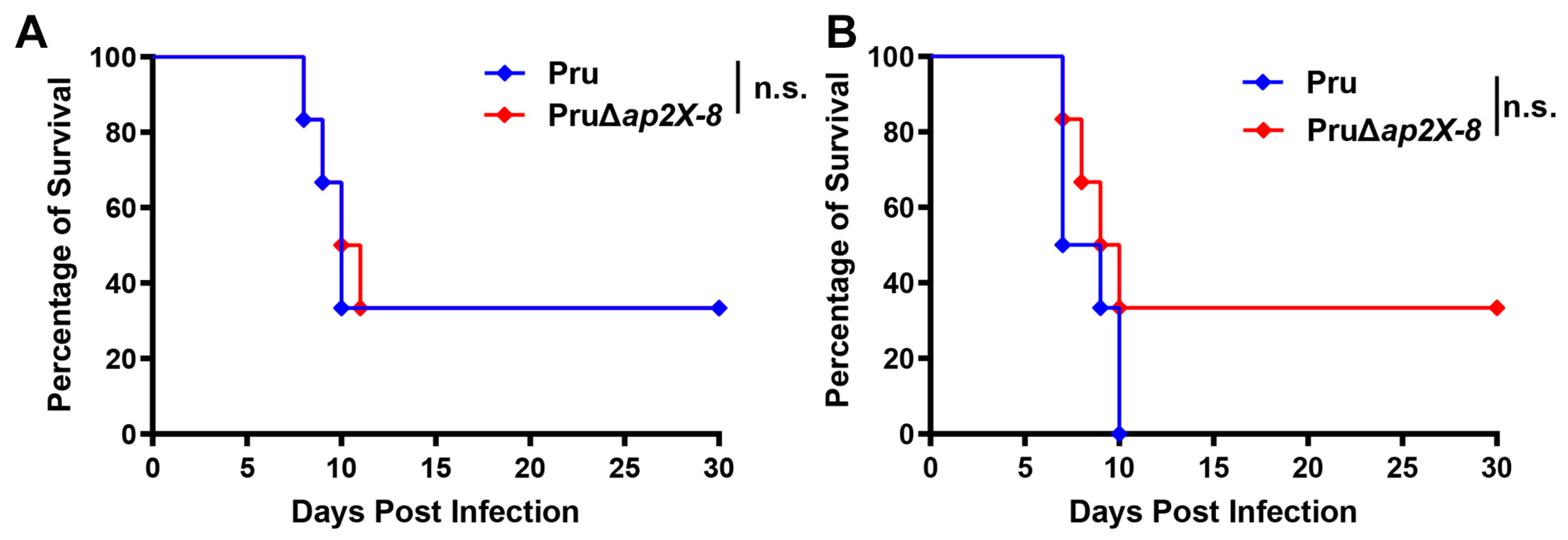 Animals 15 01349 g005