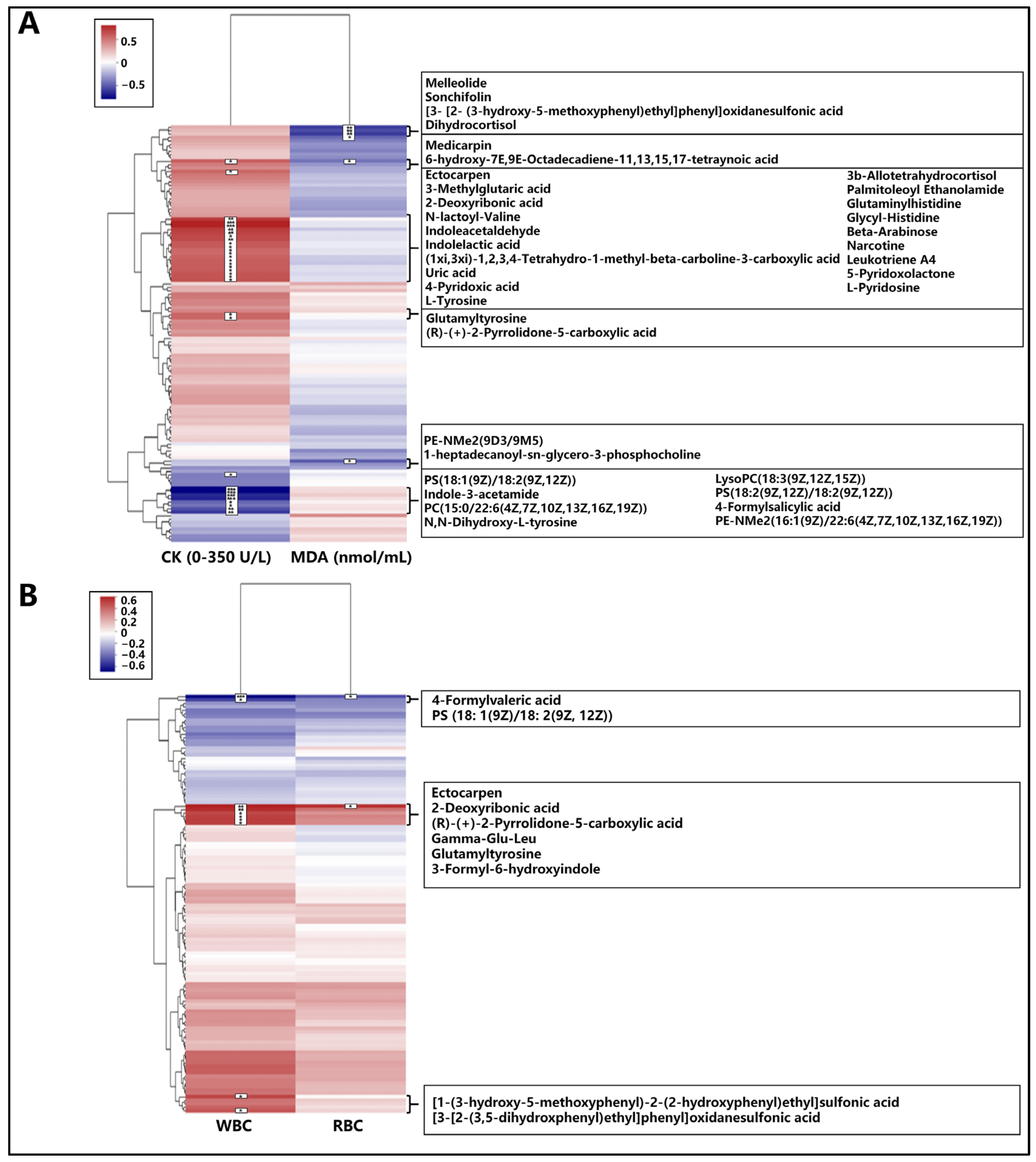 Animals 15 01350 g003