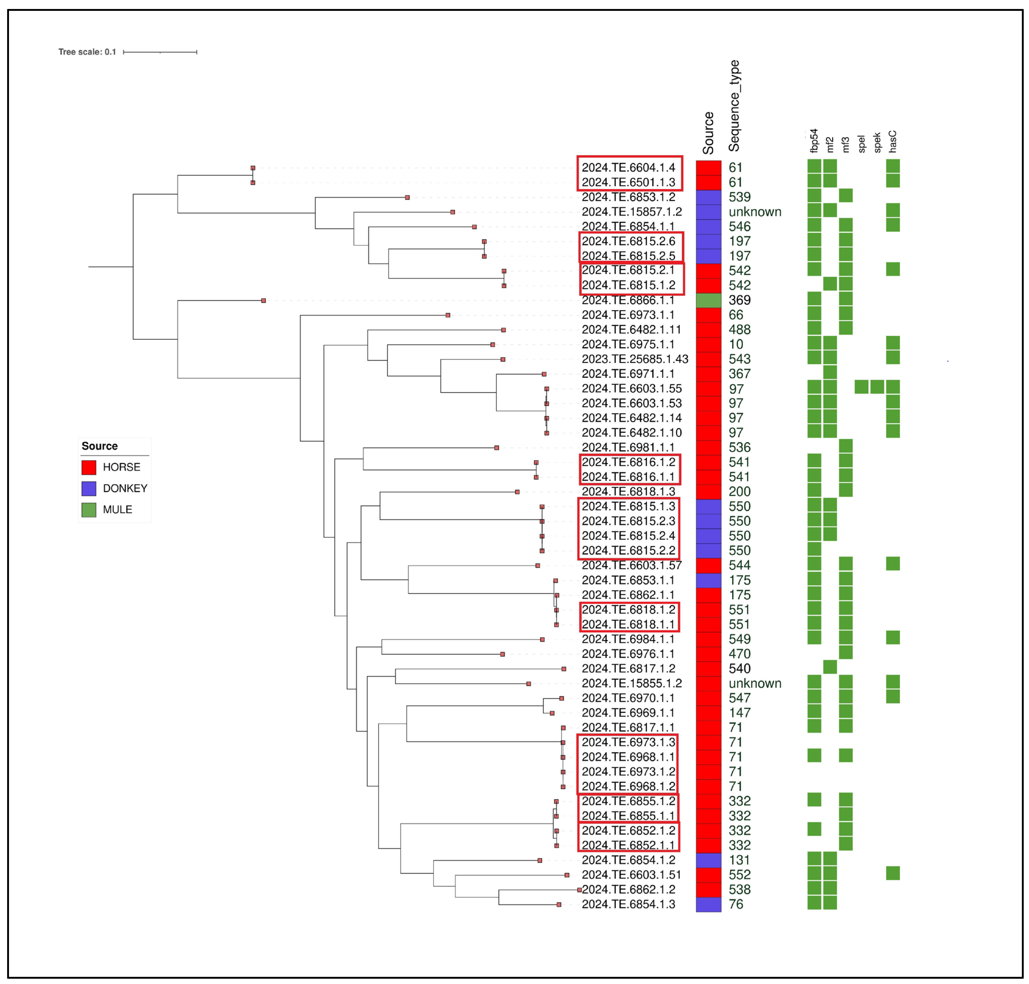 Animals 15 01351 g003