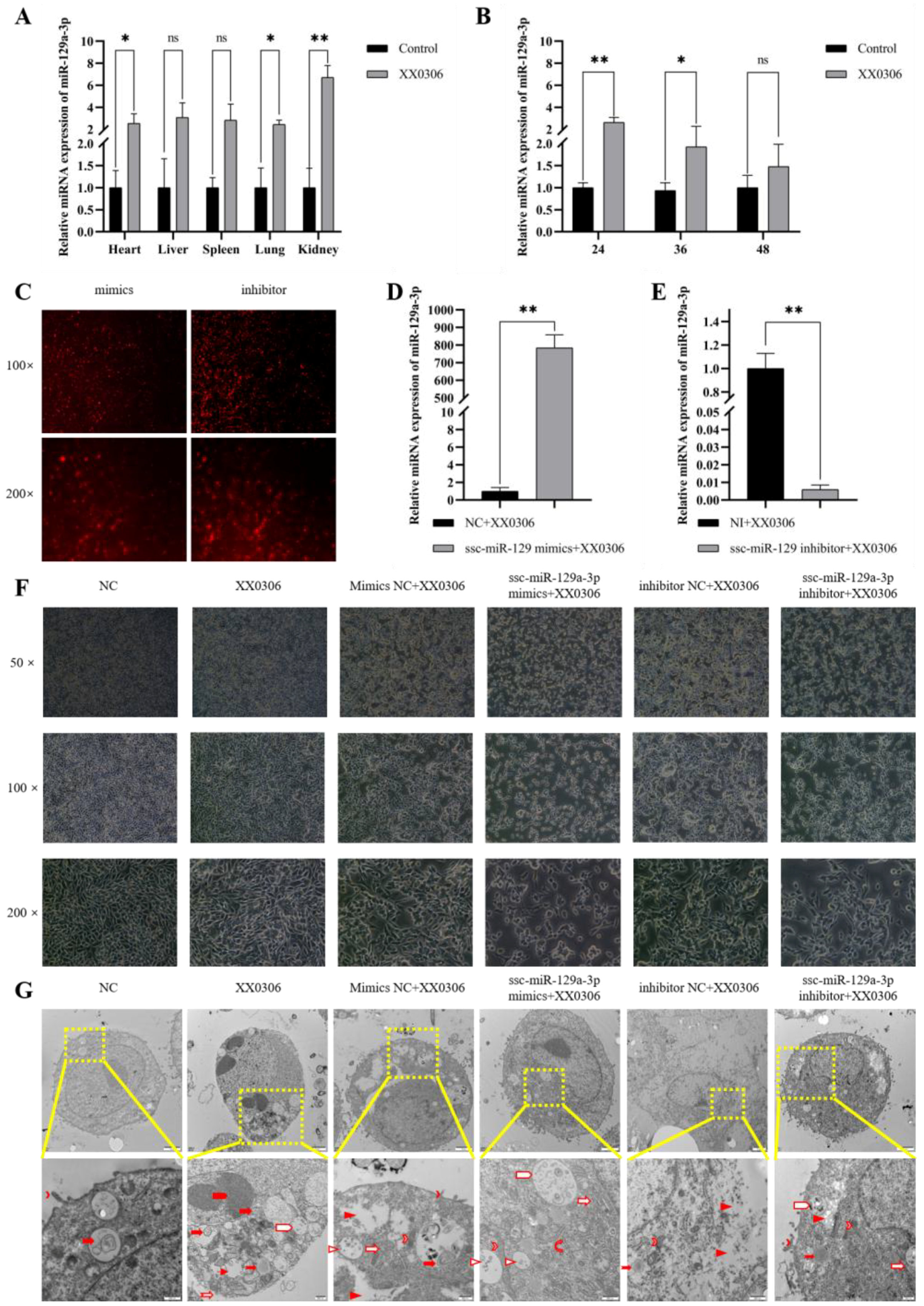 Animals 15 01355 g001