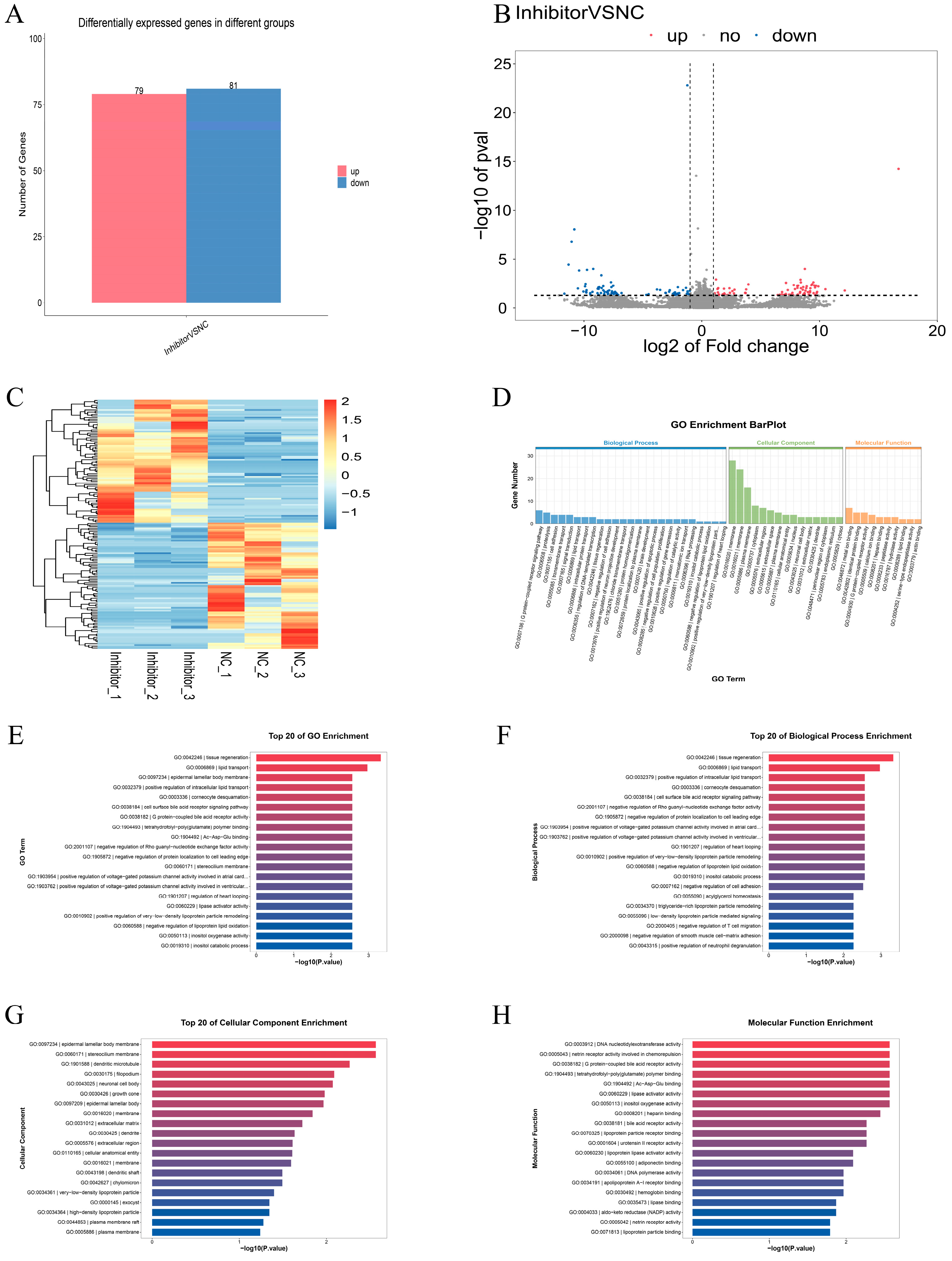 Animals 15 01355 g002a
