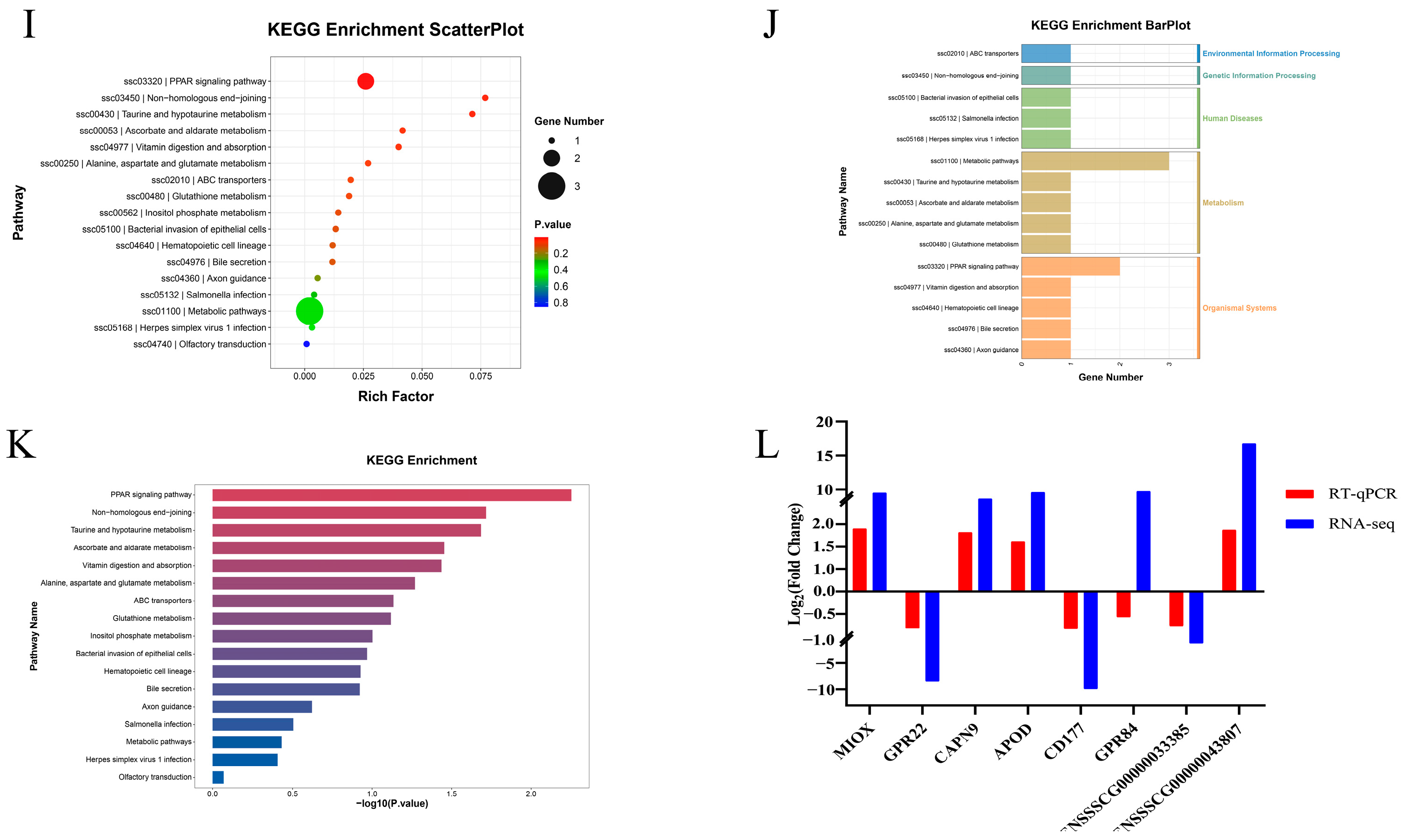 Animals 15 01355 g002b