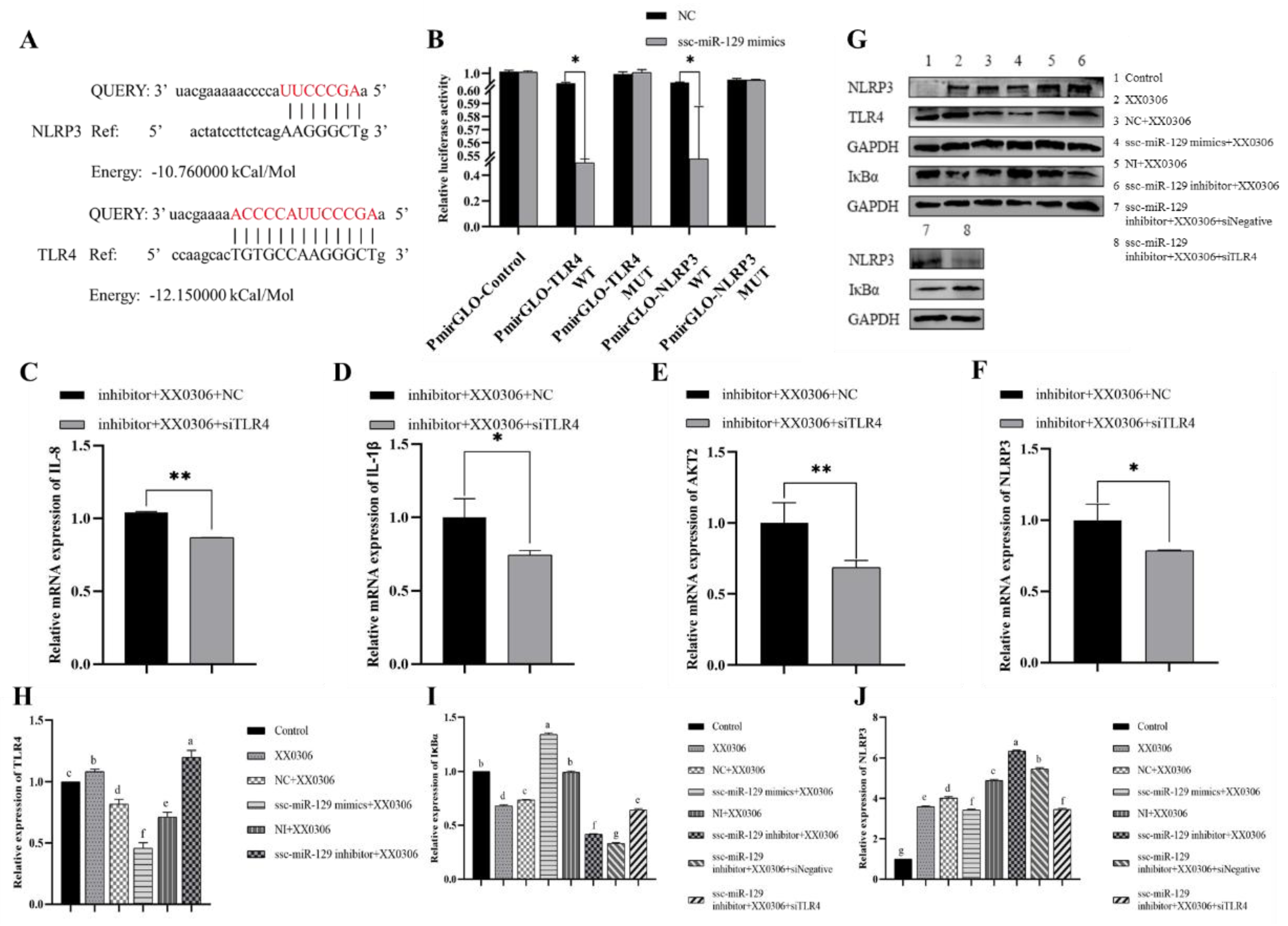 Animals 15 01355 g004