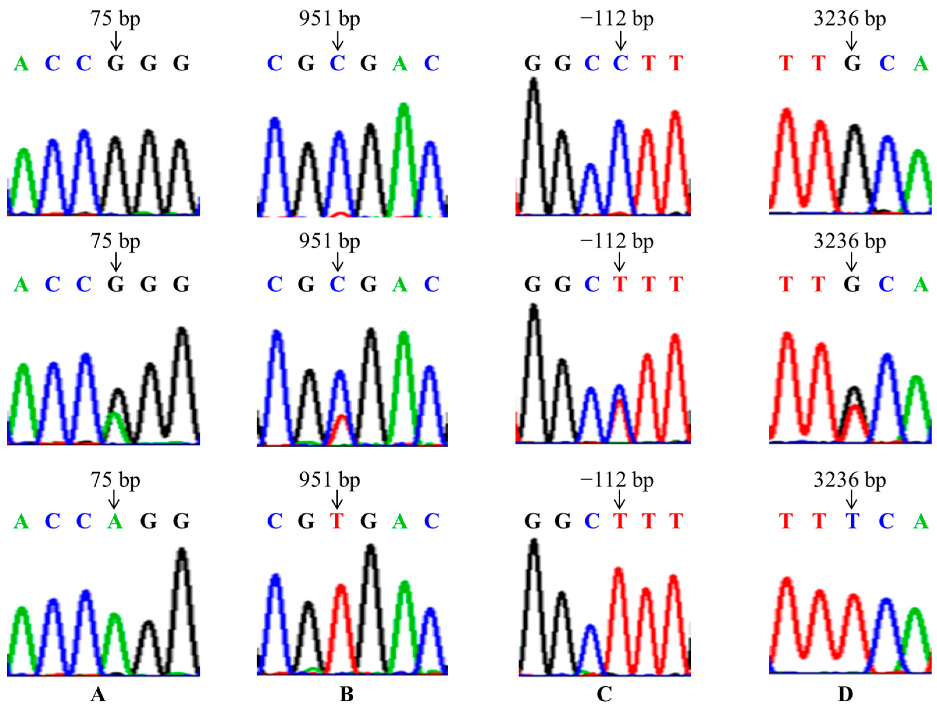 Animals 15 01358 g002