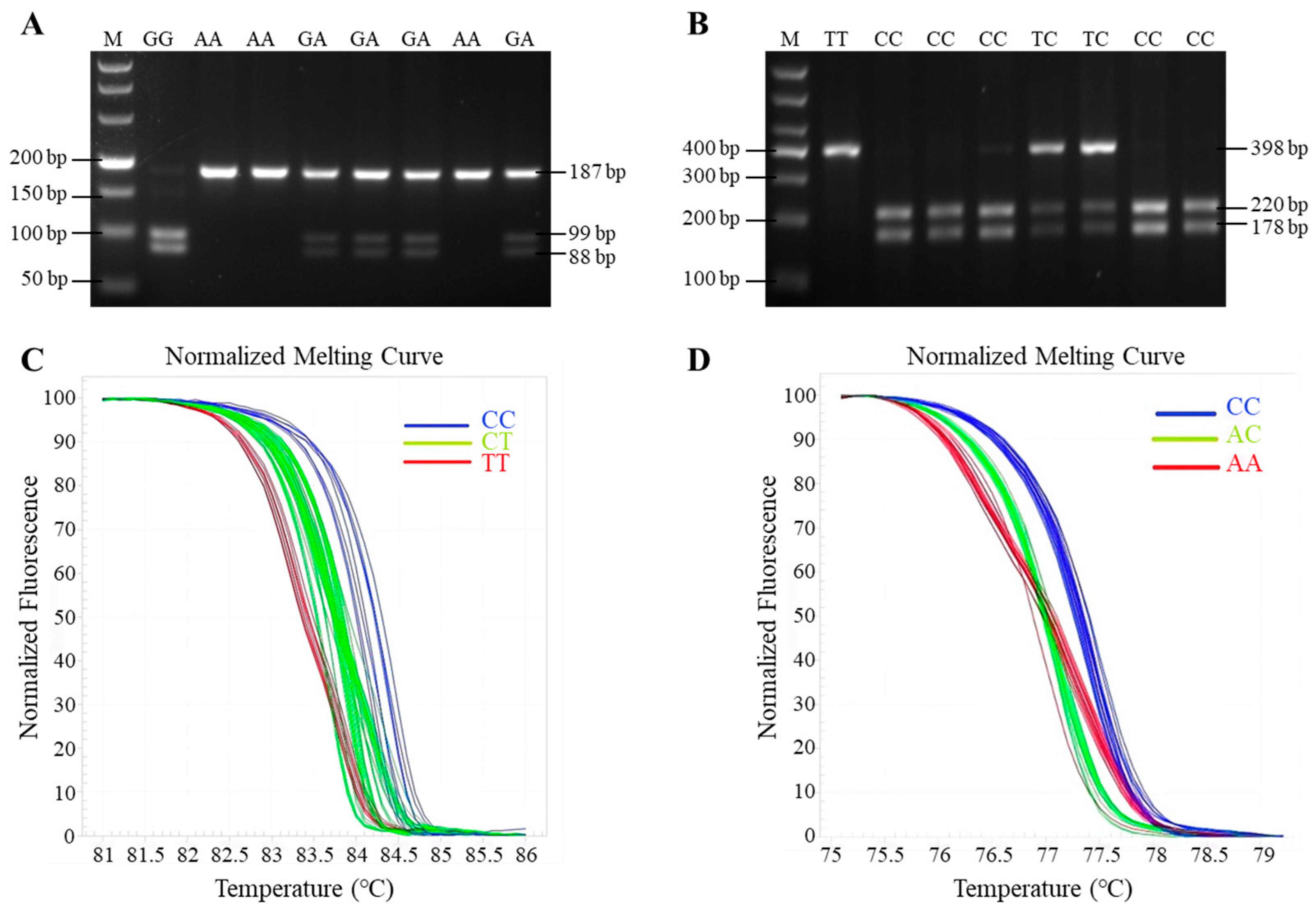 Animals 15 01358 g003