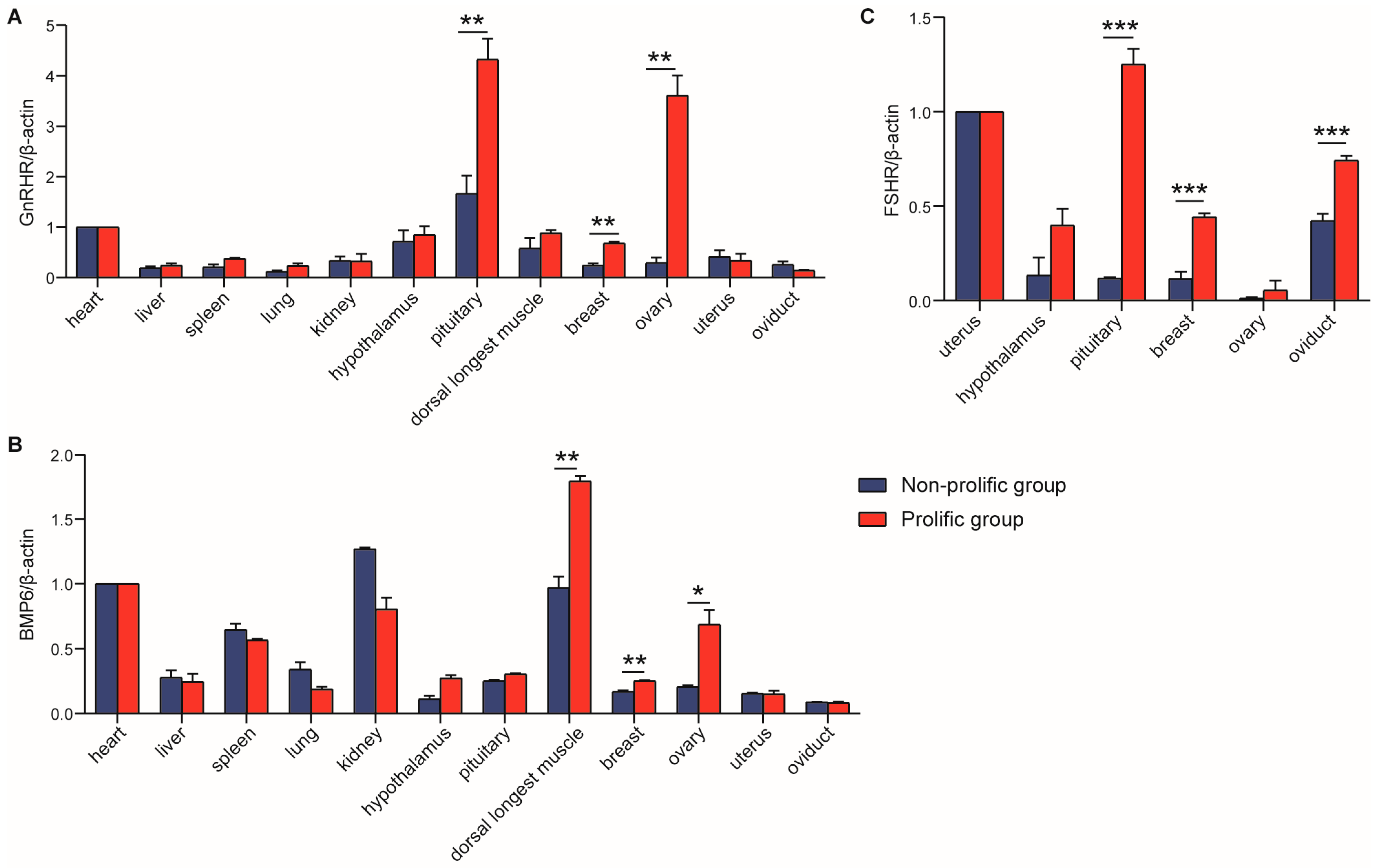 Animals 15 01358 g004