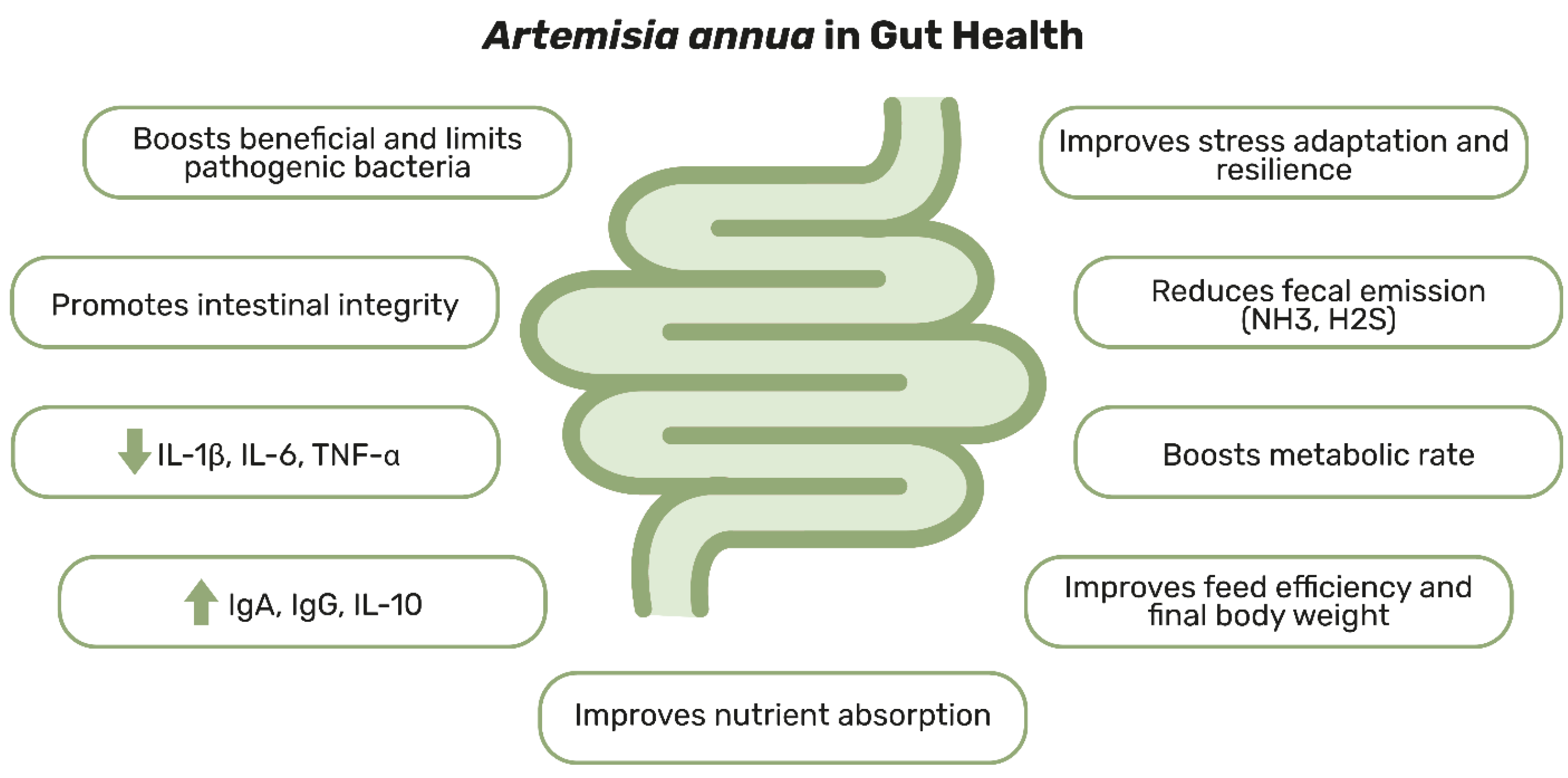 Animals 15 01359 g001