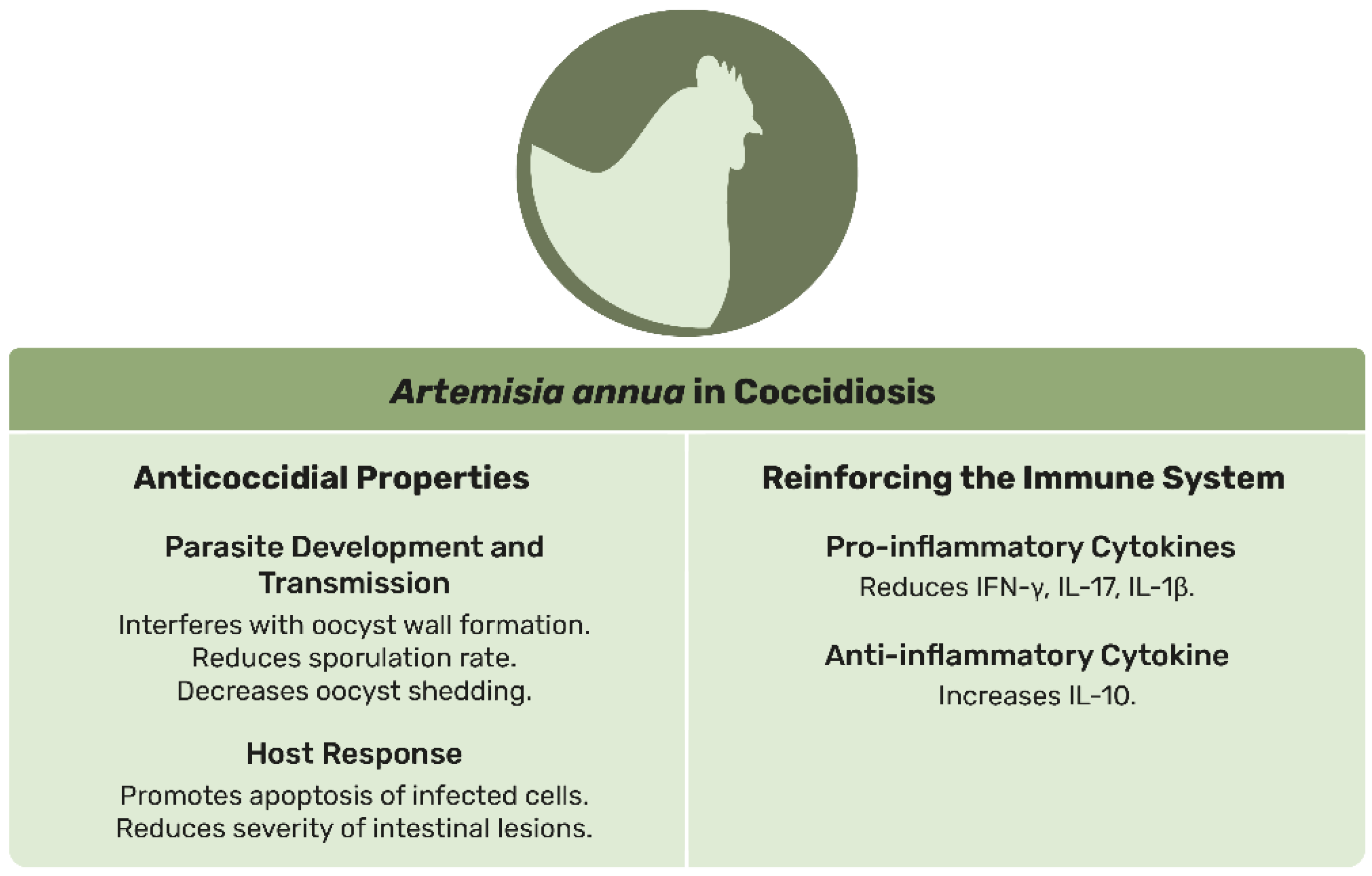 Animals 15 01359 g002