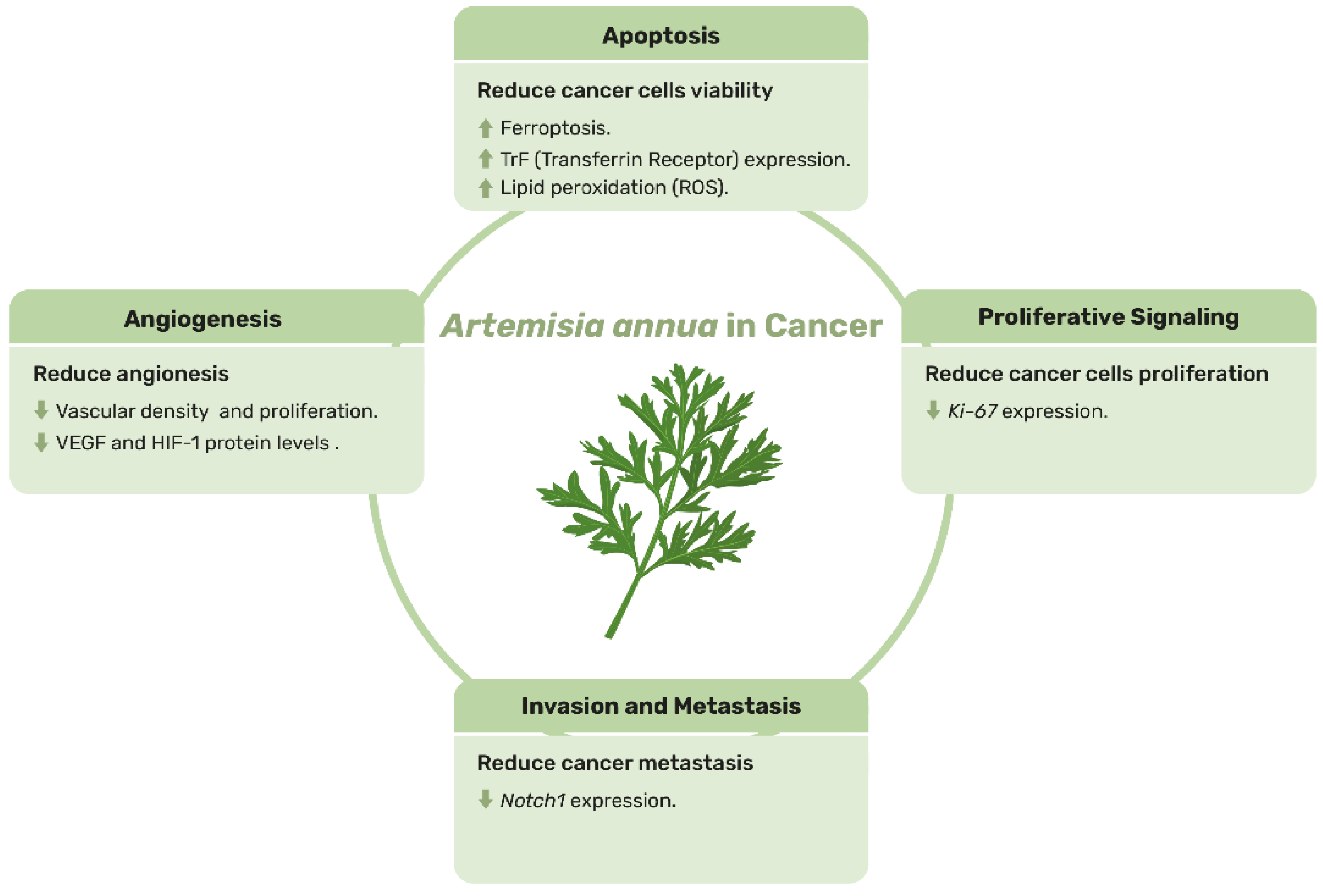 Animals 15 01359 g004