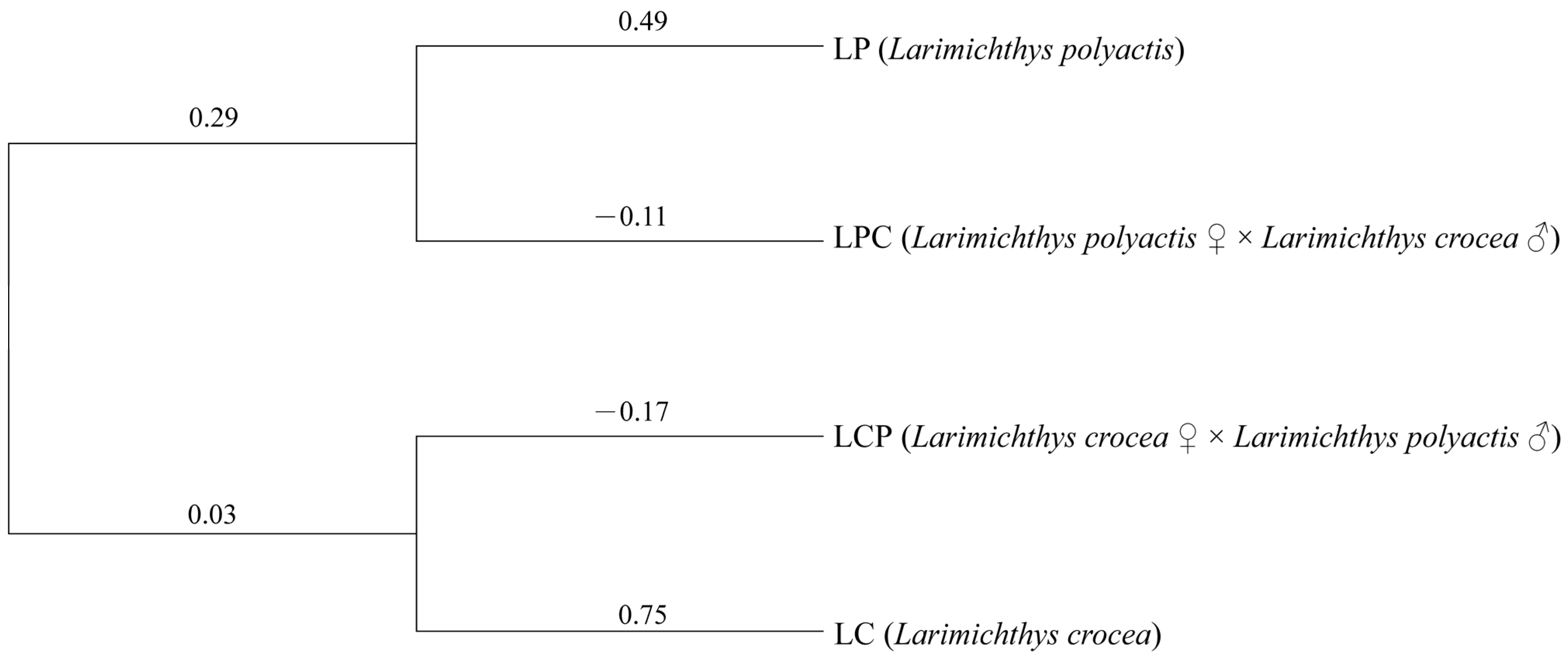 Animals 15 01360 g002