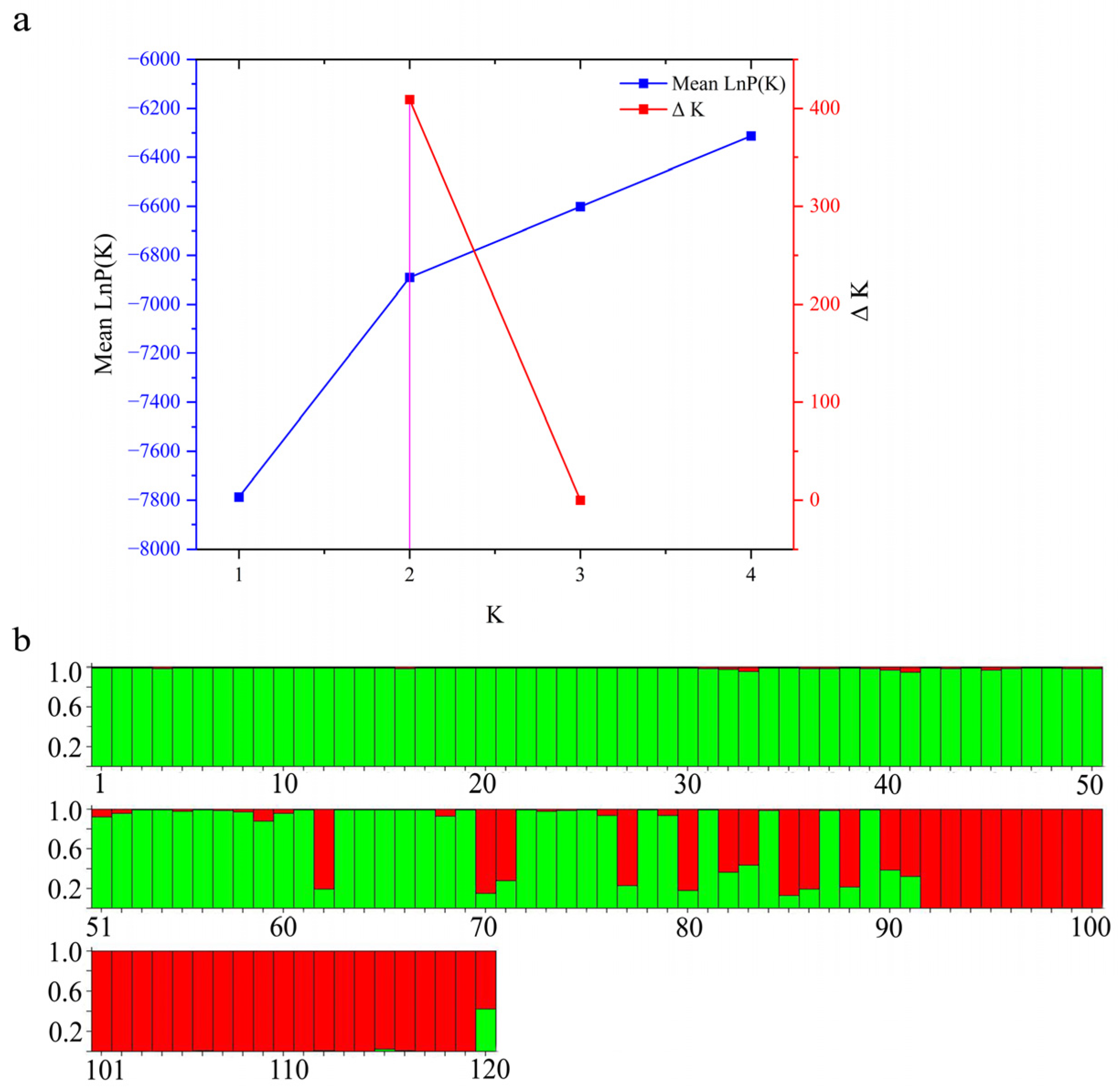 Animals 15 01360 g004