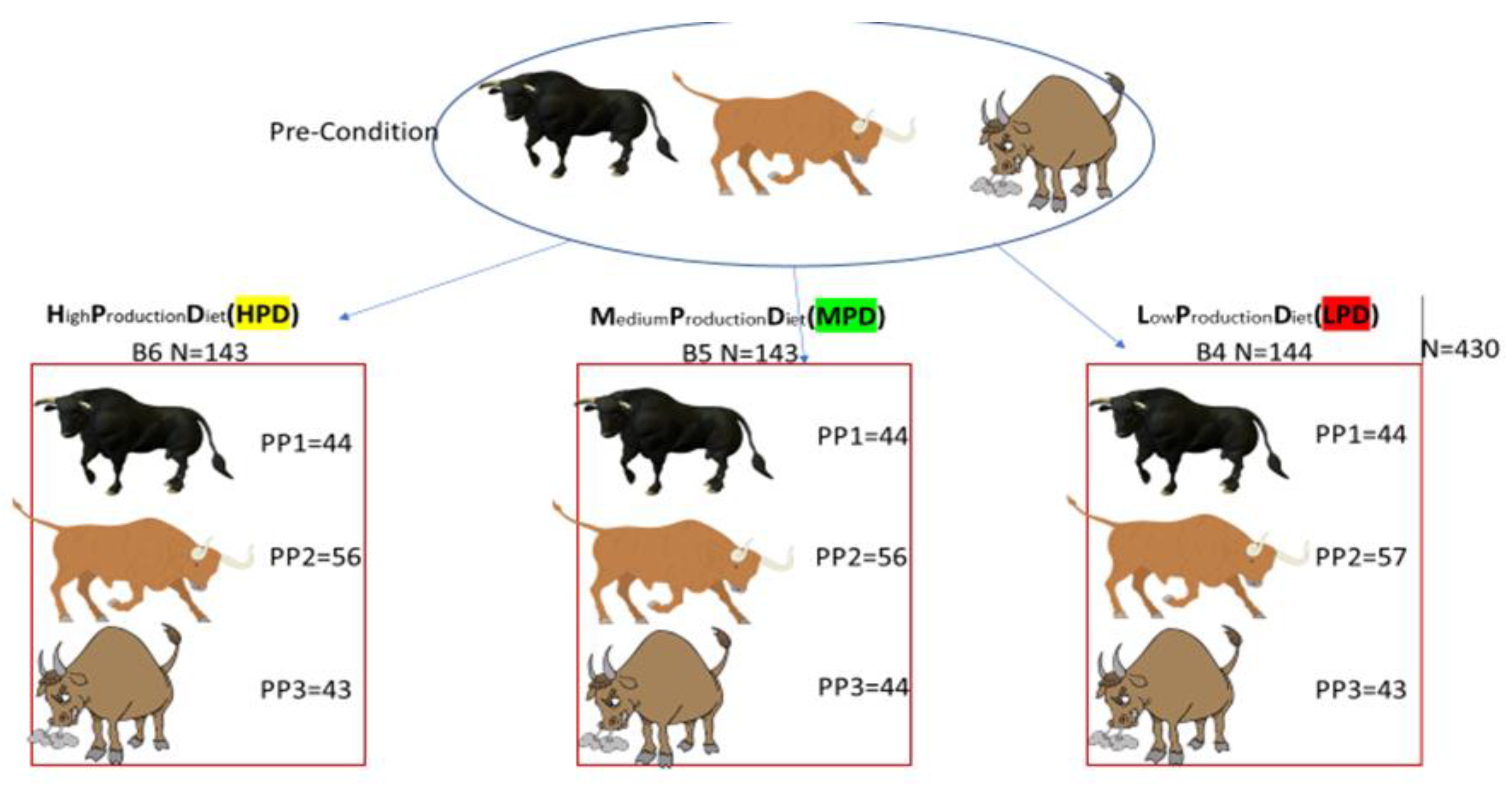 Animals 15 01361 g002