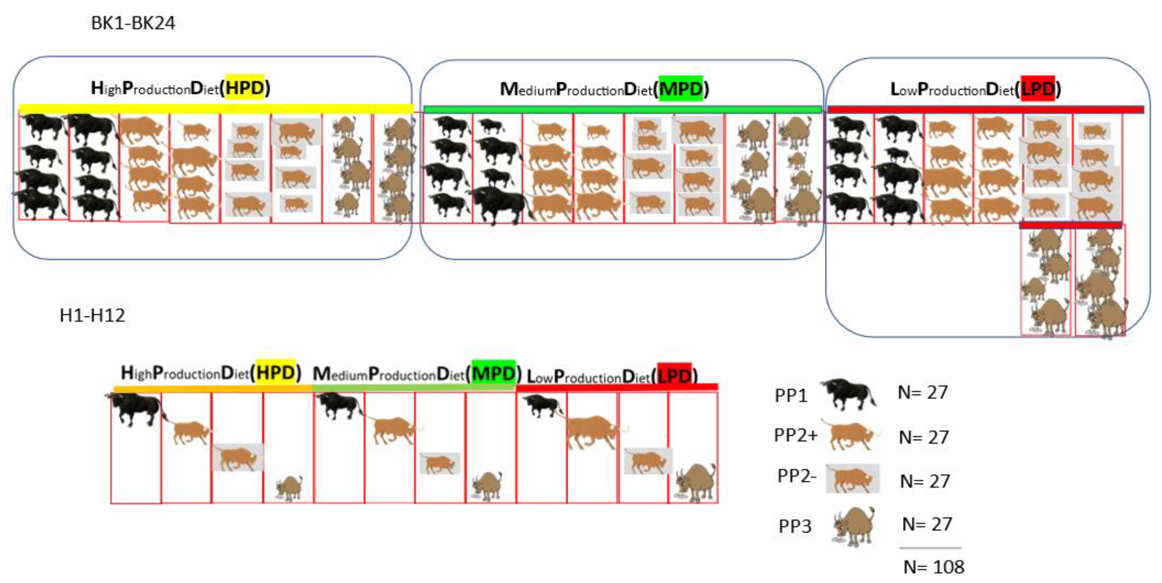 Animals 15 01361 g003