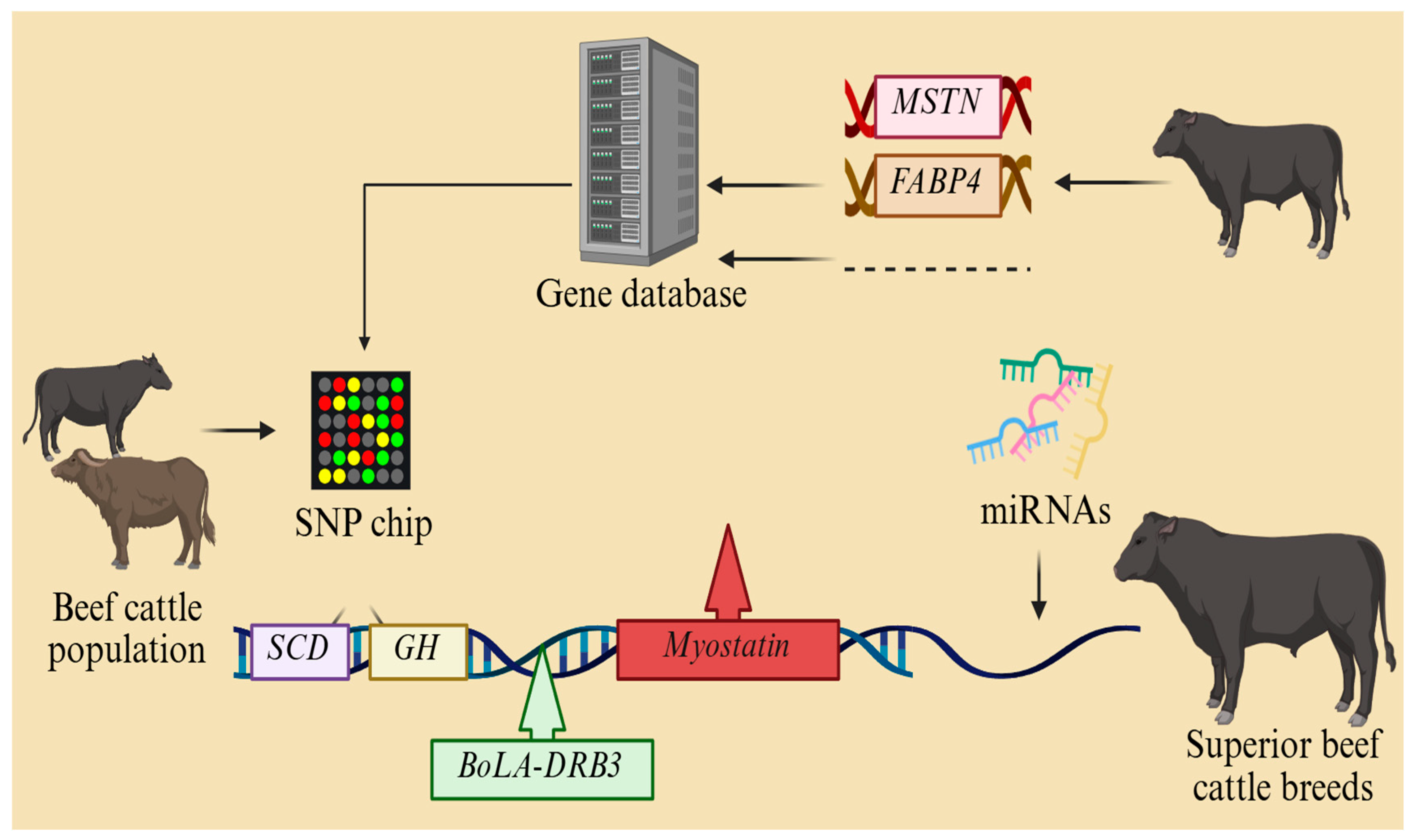 Animals 15 01364 g004 Animals 15 01364 g004