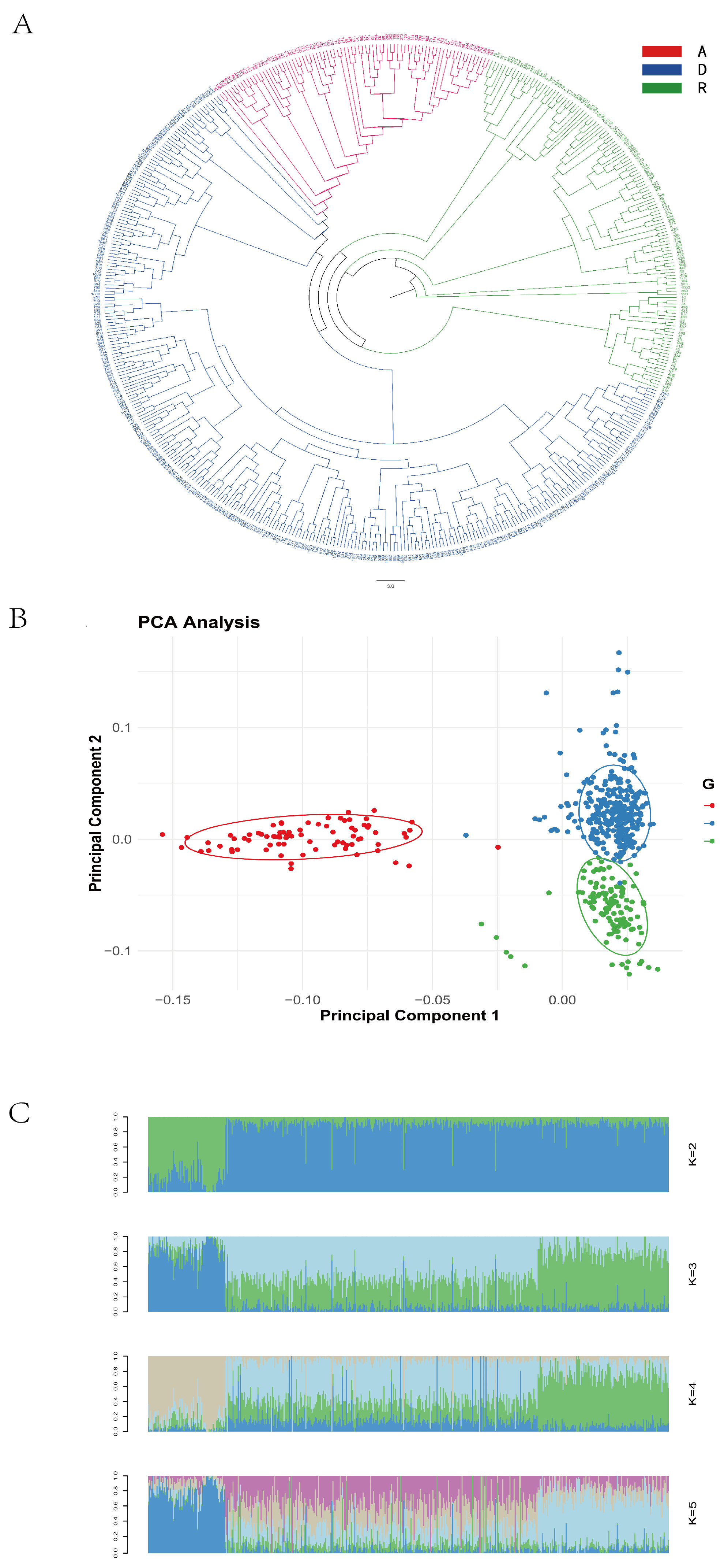 Animals 15 01365 g001