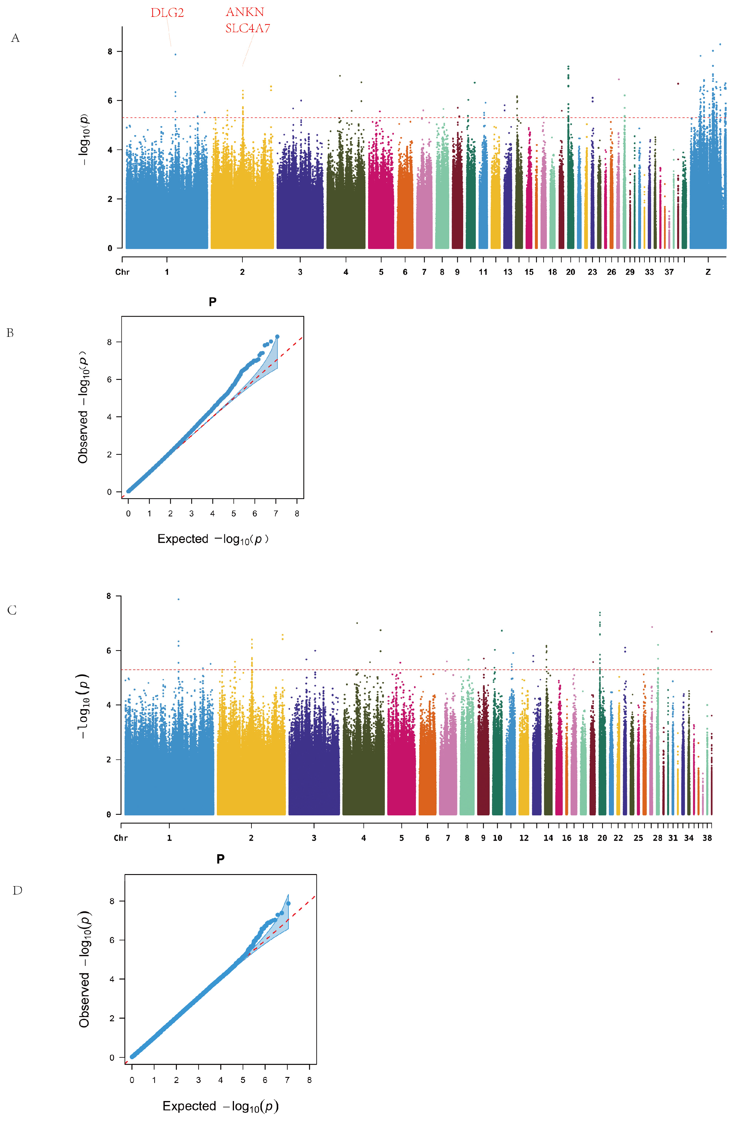 Animals 15 01365 g002