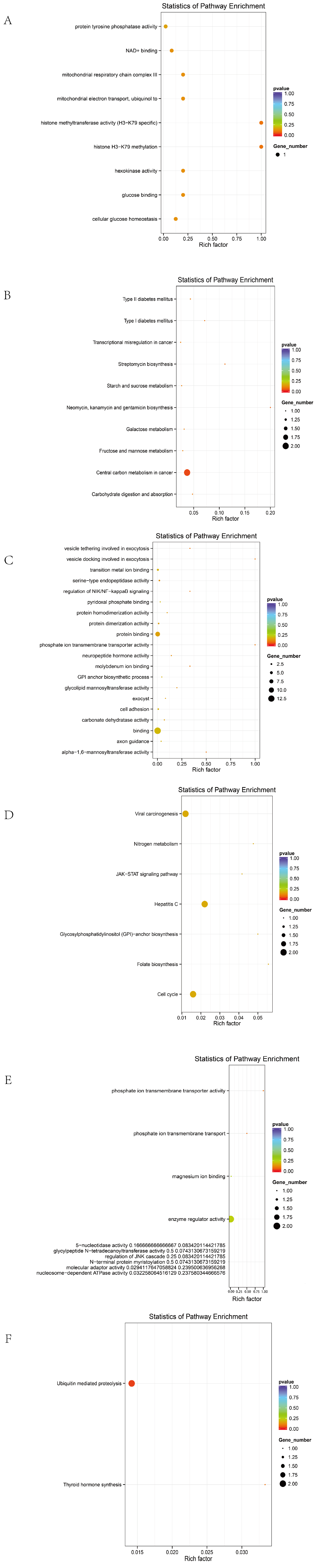 Animals 15 01365 g005