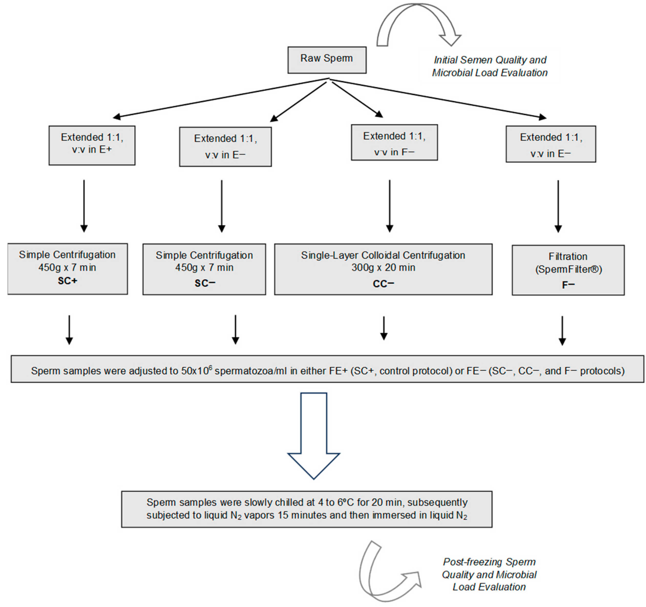 Animals 15 01368 g001