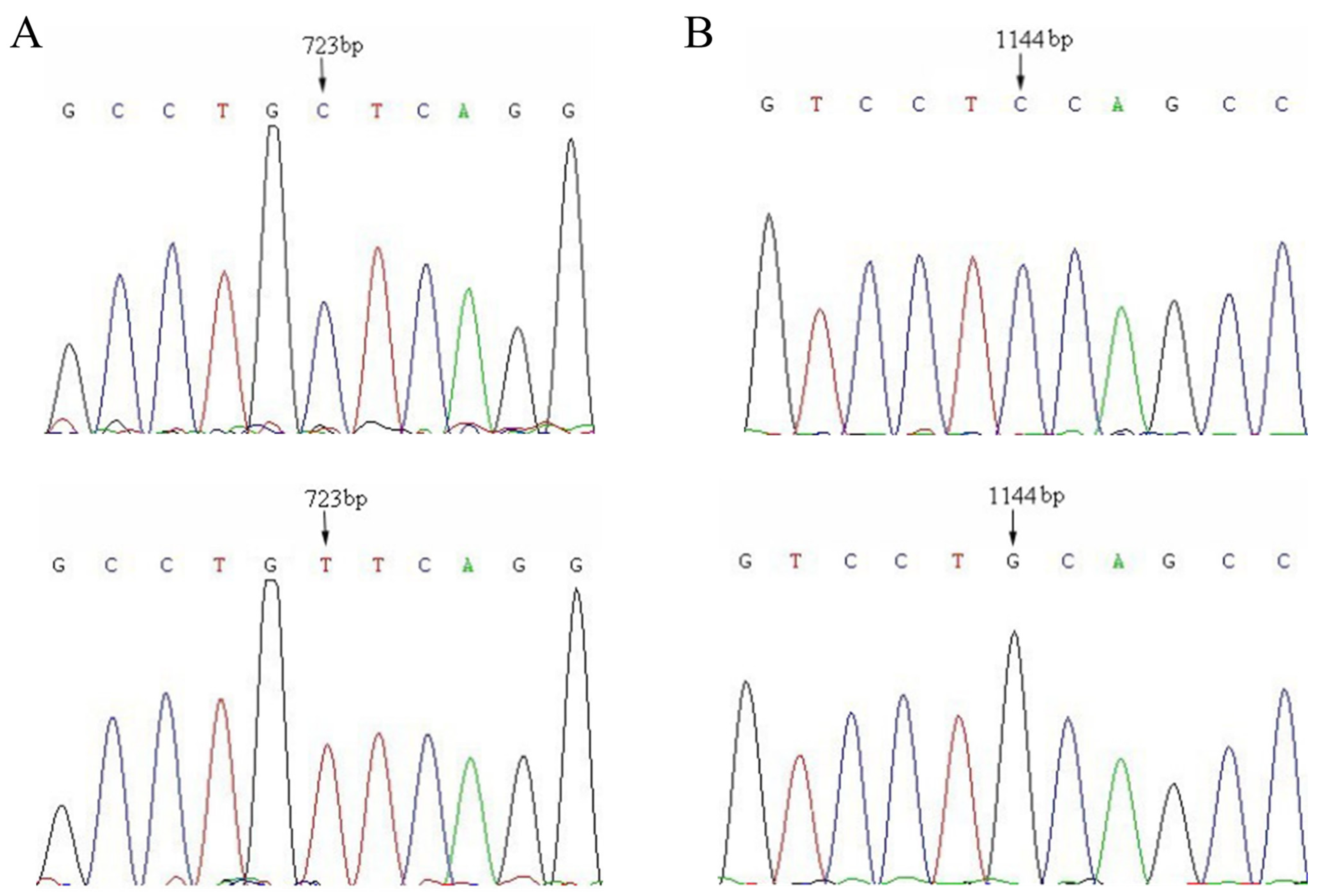 Animals 15 01370 g001