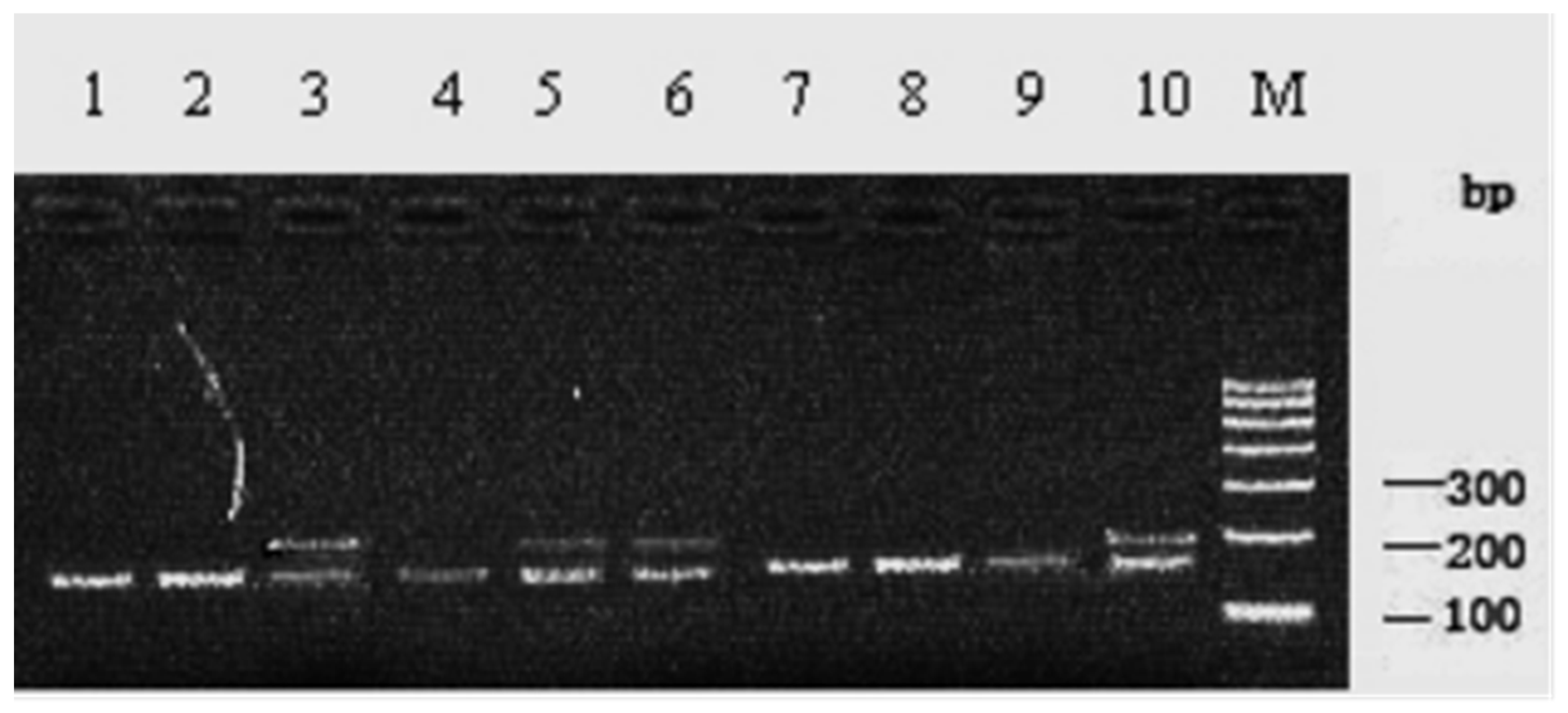 Animals 15 01370 g002