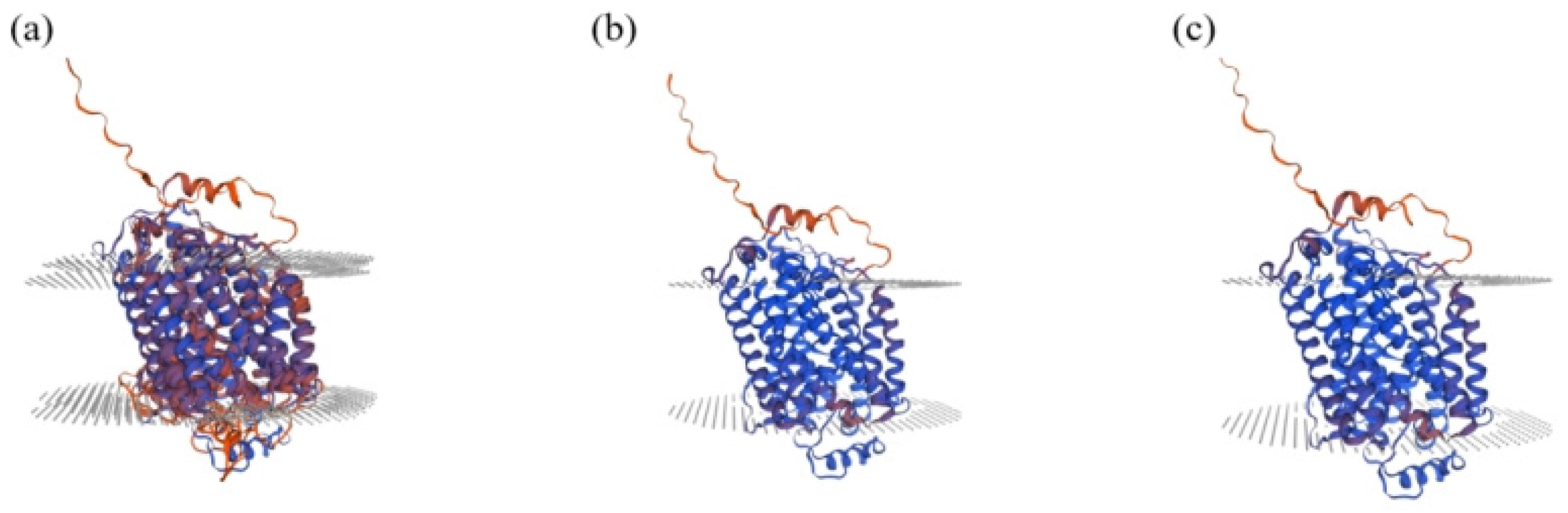 Animals 15 01370 g005