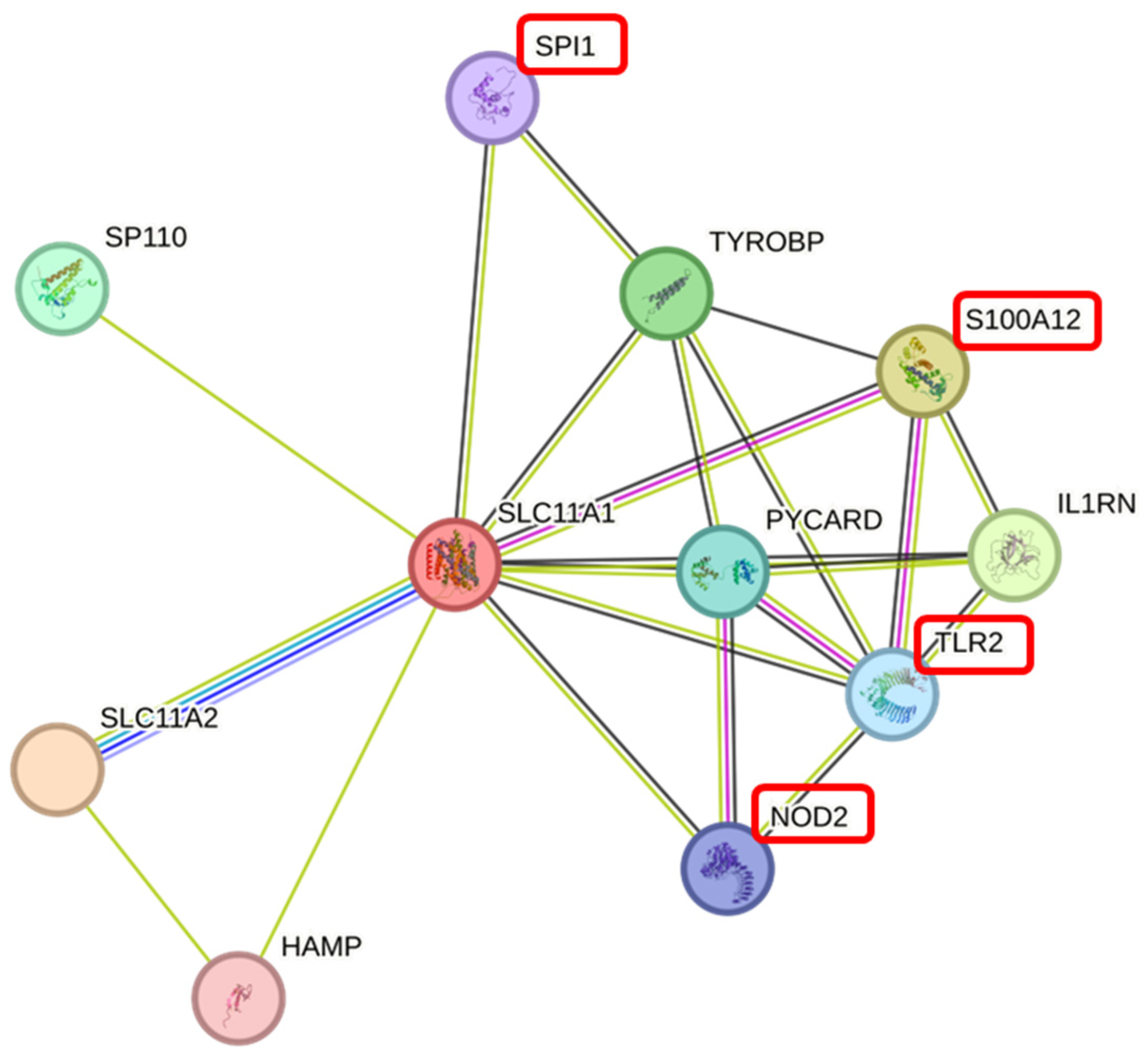 Animals 15 01370 g006